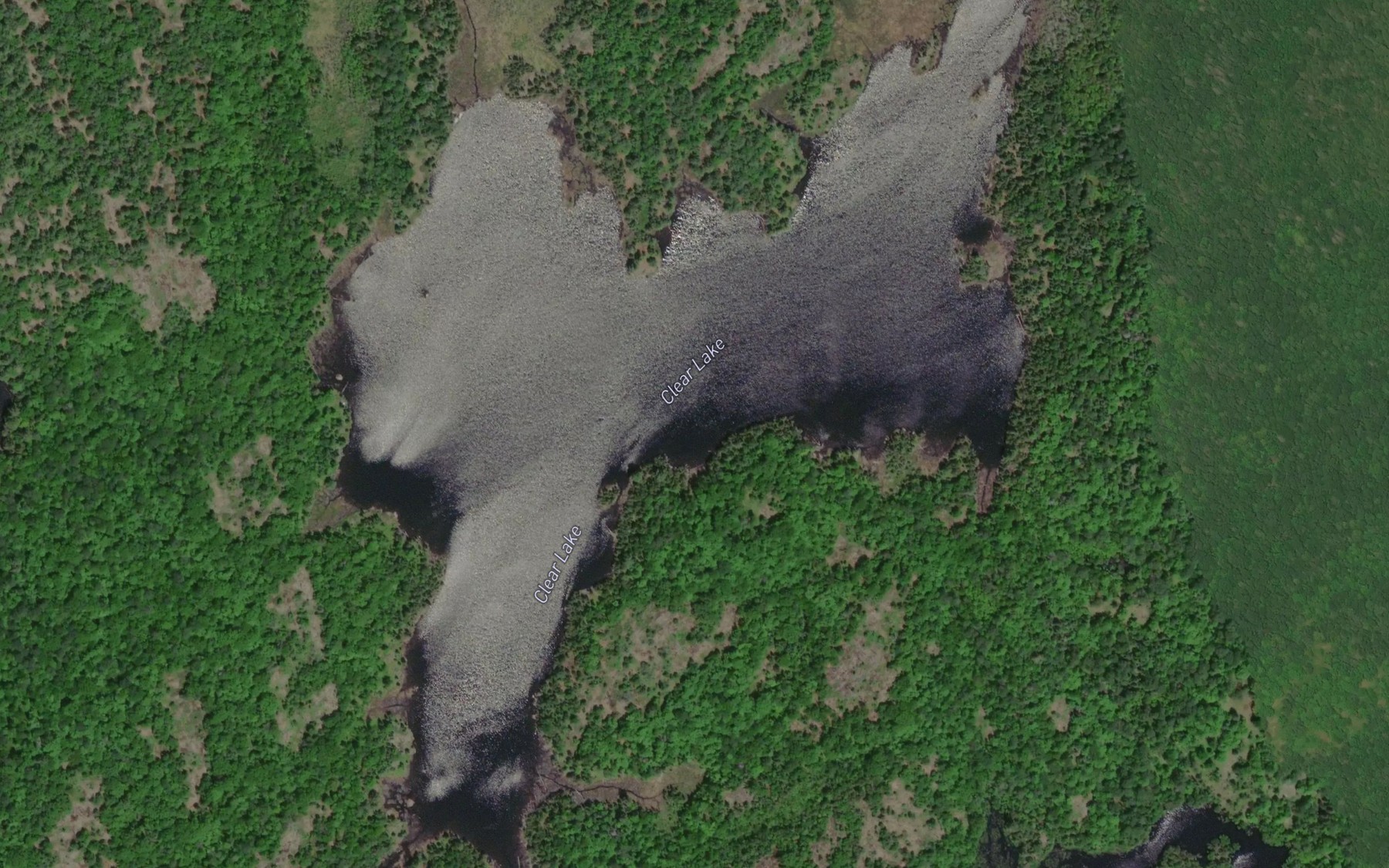 Satellite map of the Clear Lake