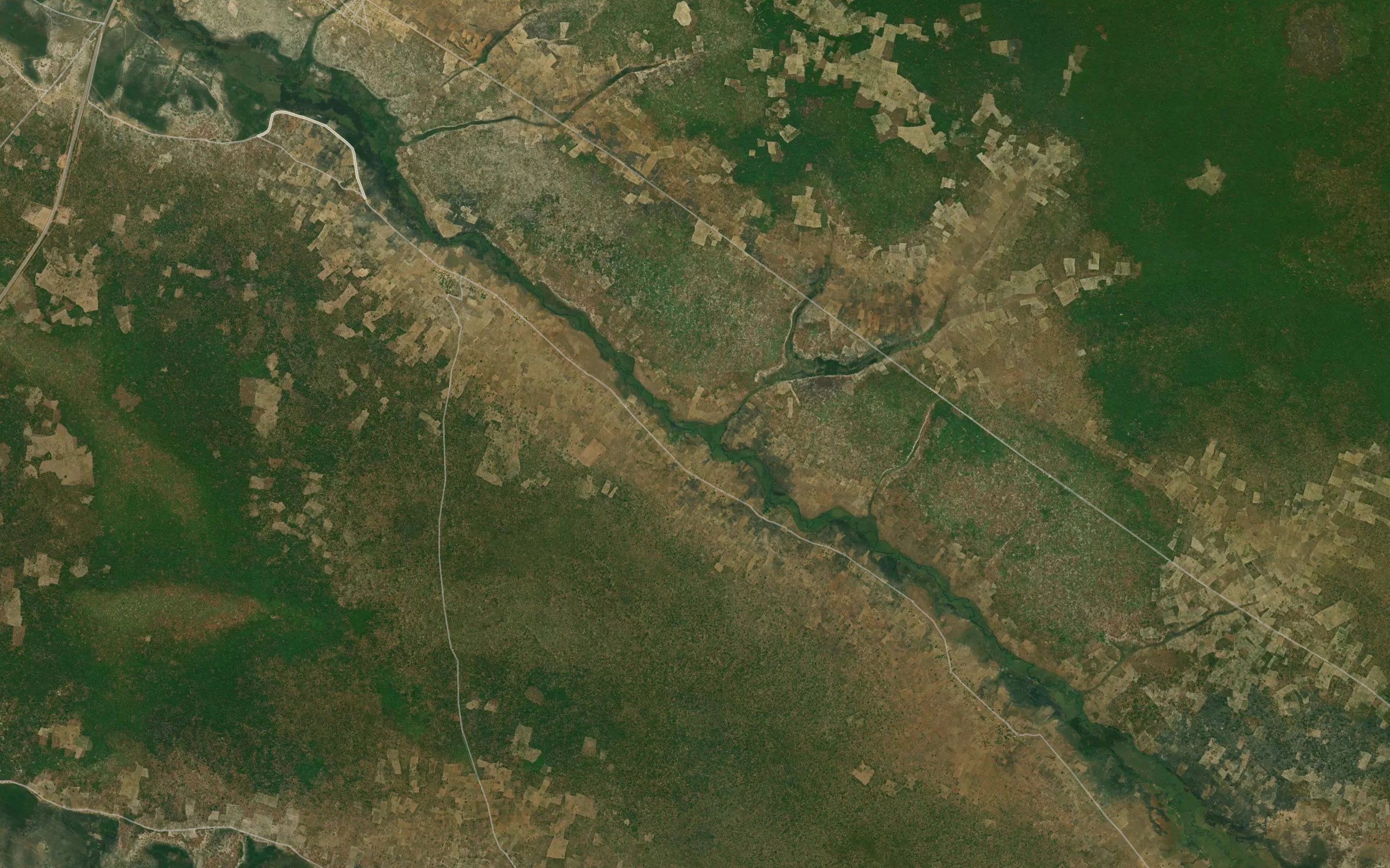 Mavunze
