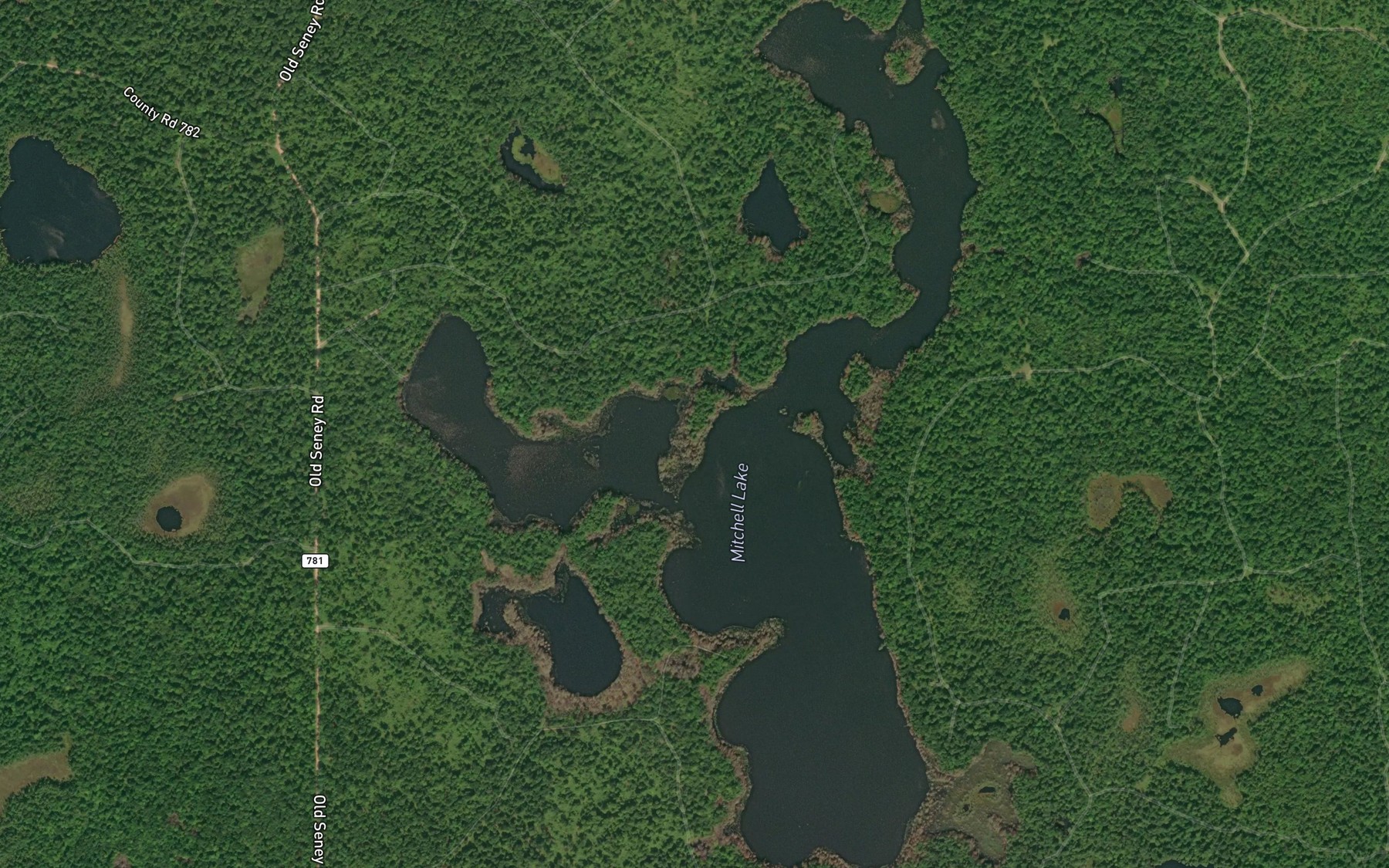 Satellite map of the Mitchell Lake