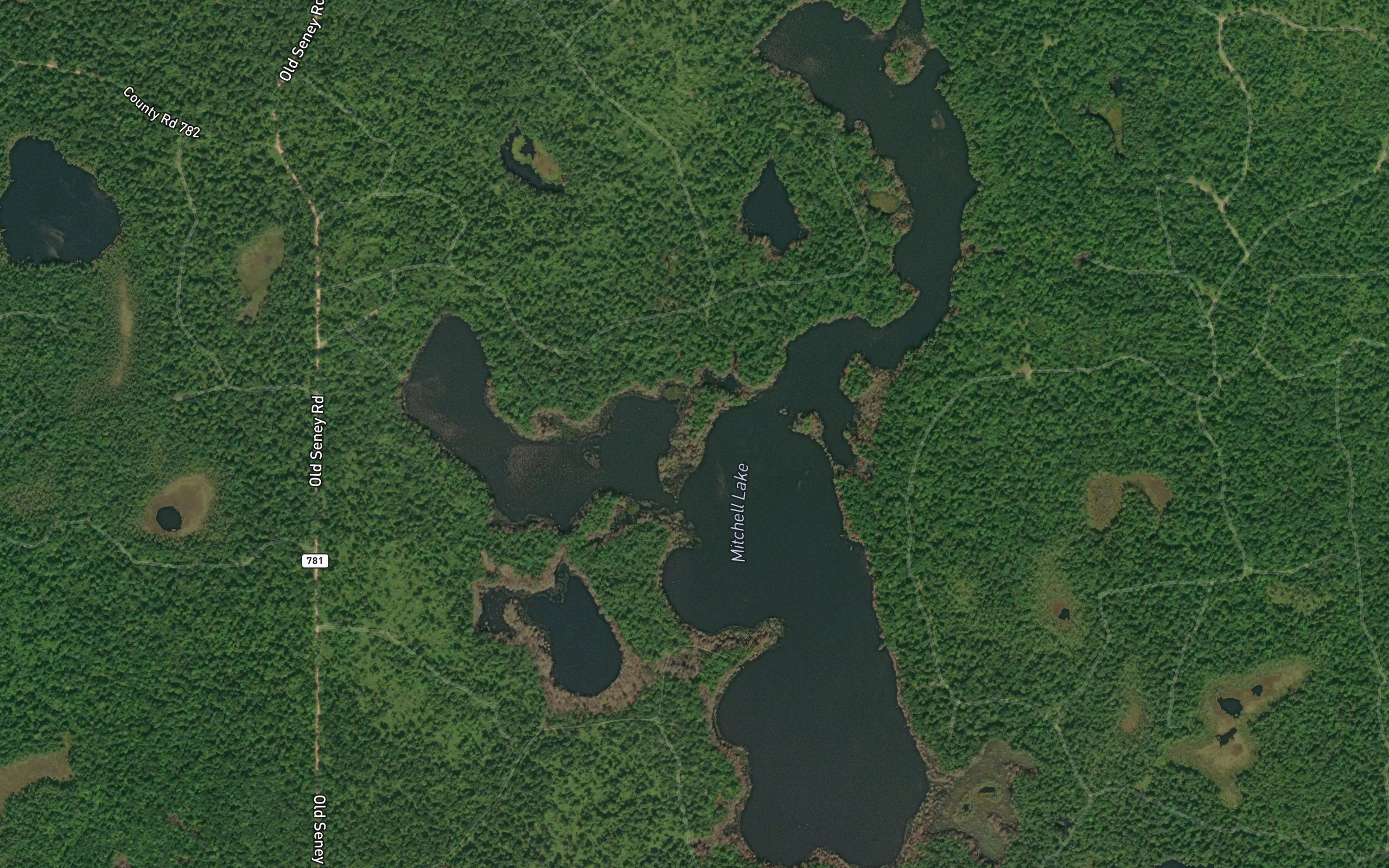 Mitchell Lake