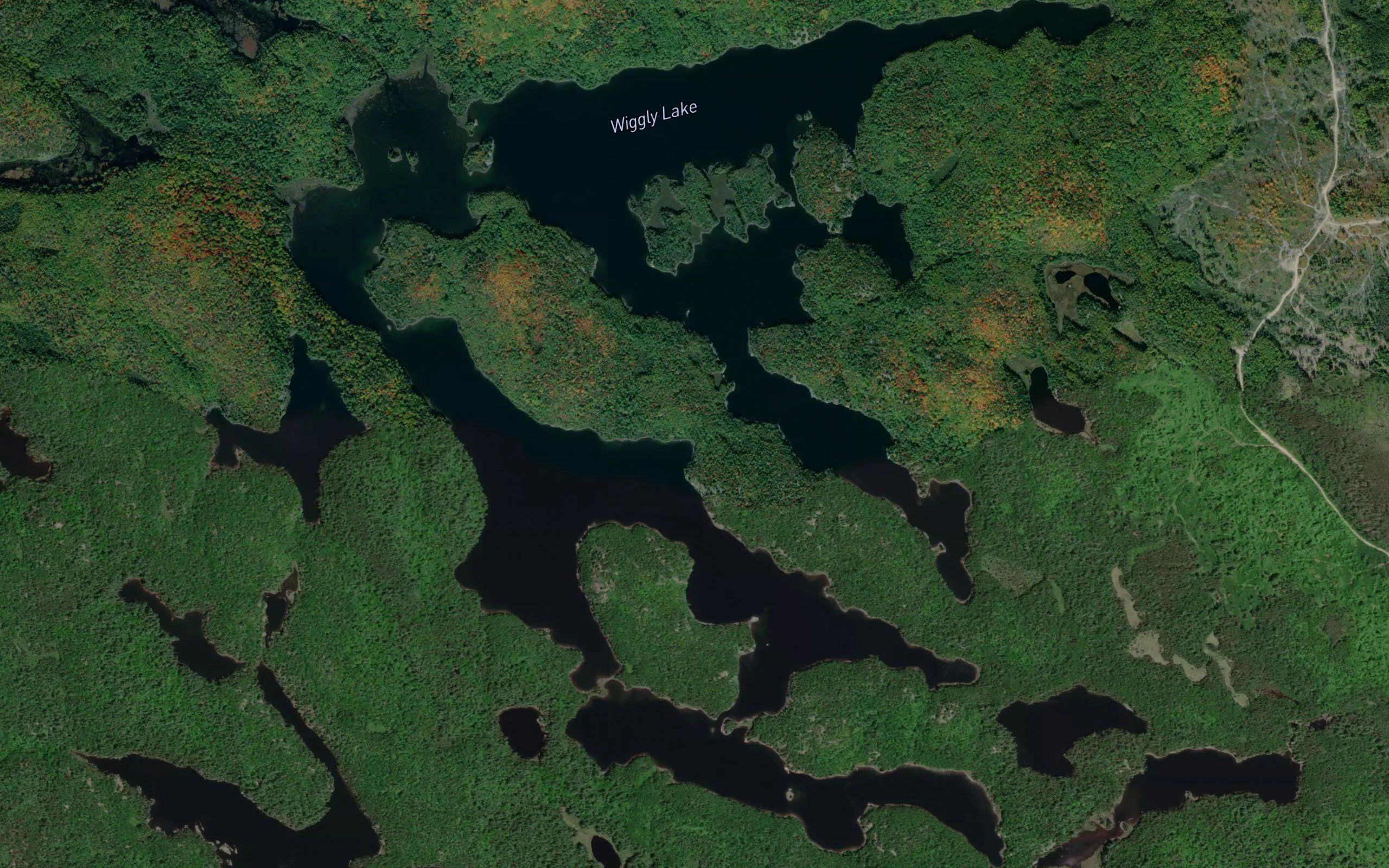 Wiggly Lake