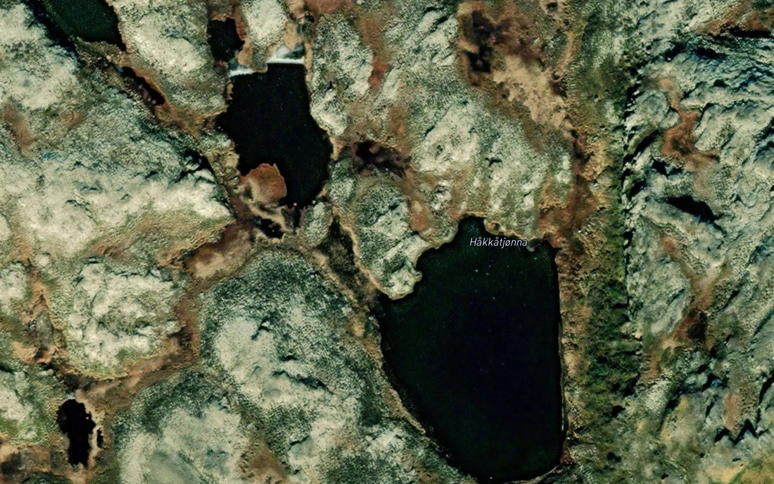 Hakkatjonna