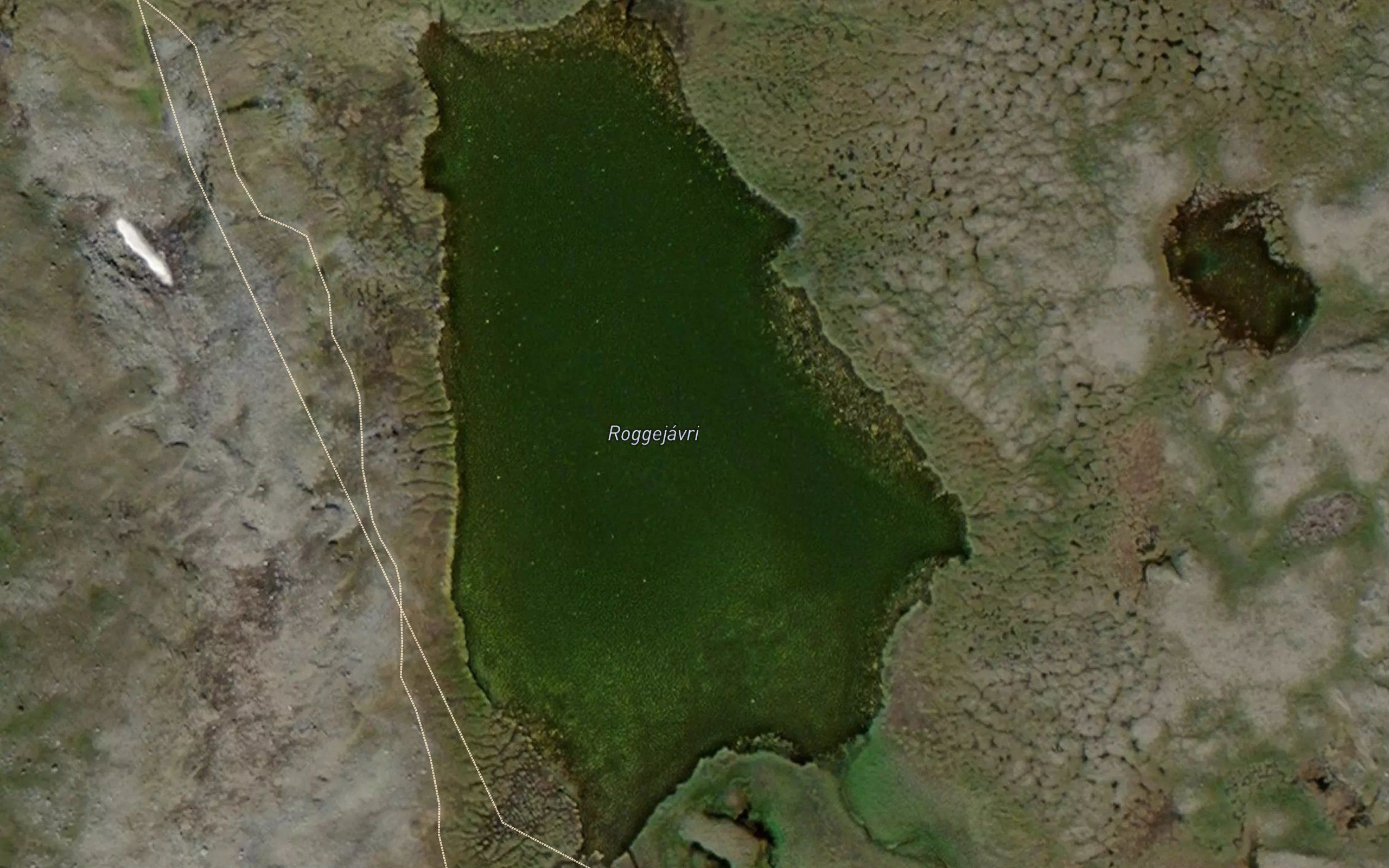 Roggejavri