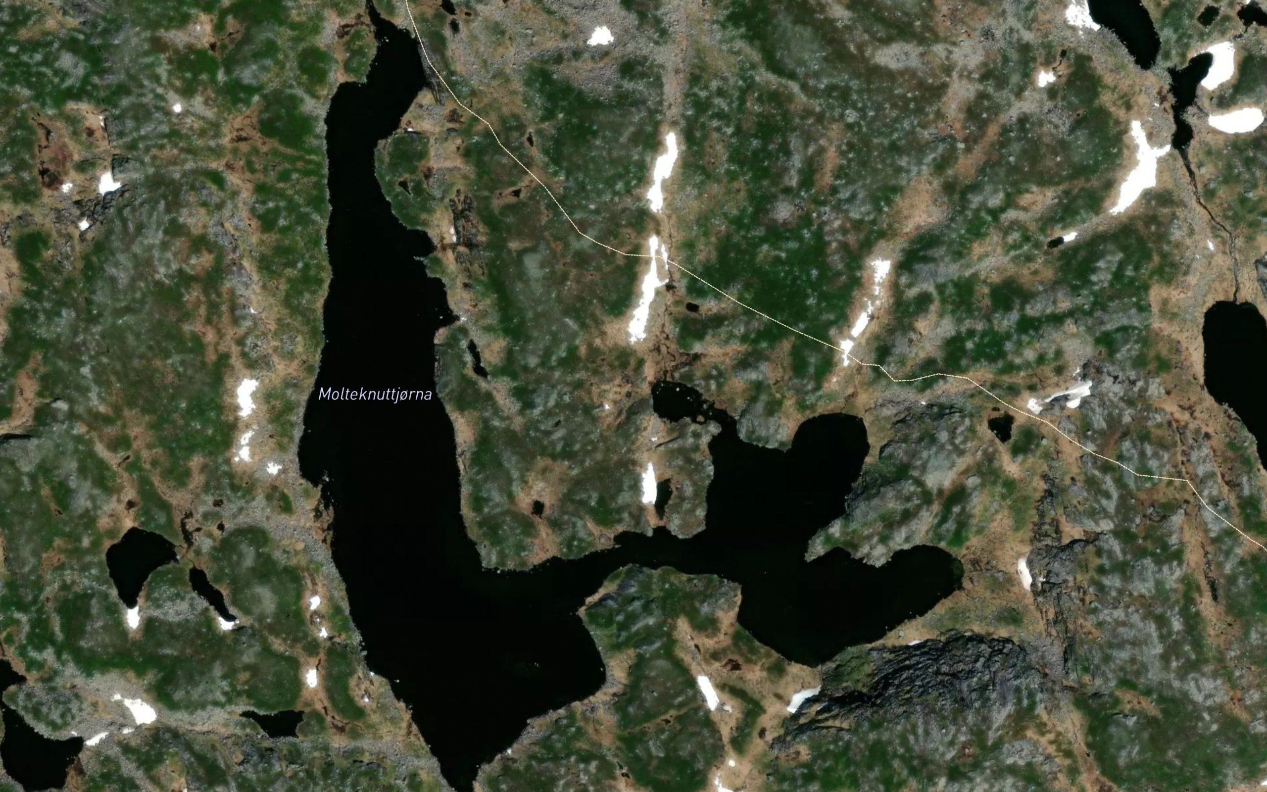 Molteknuttjorna
