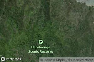 Harataonga Stream