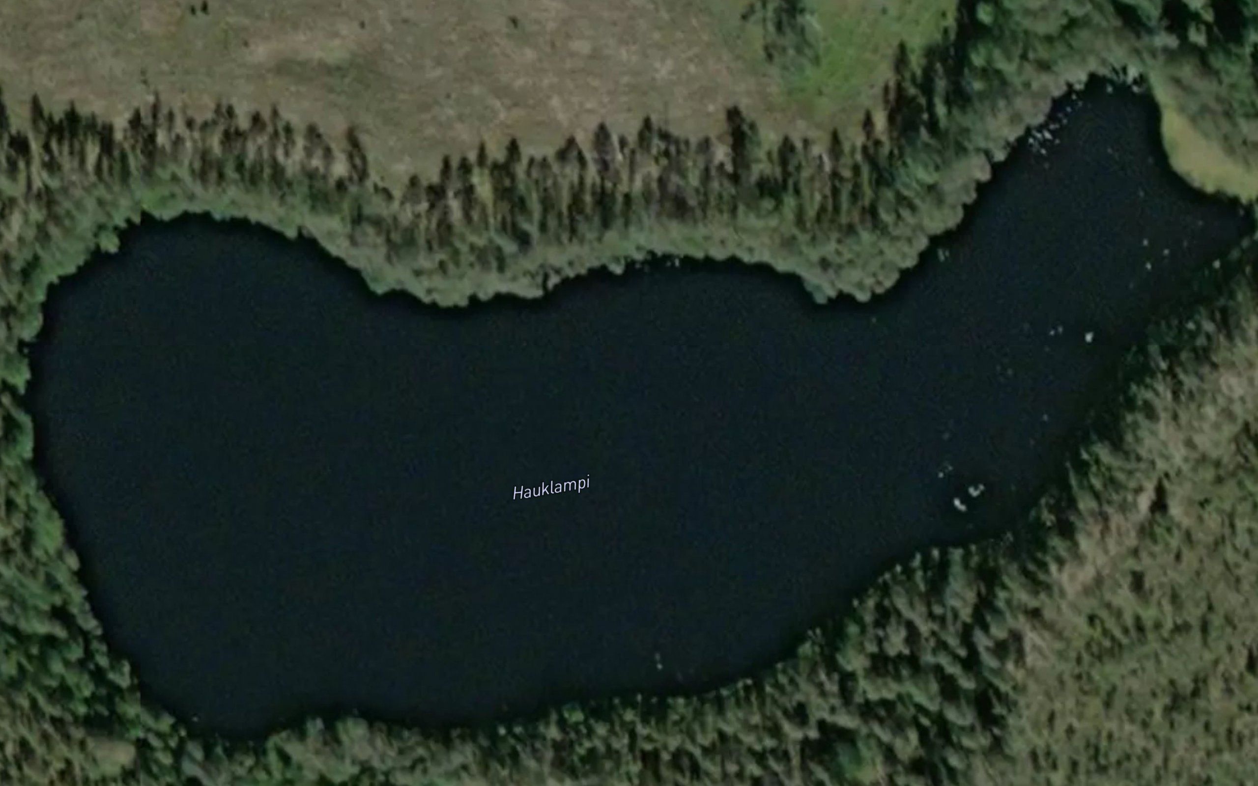 Hauklampi