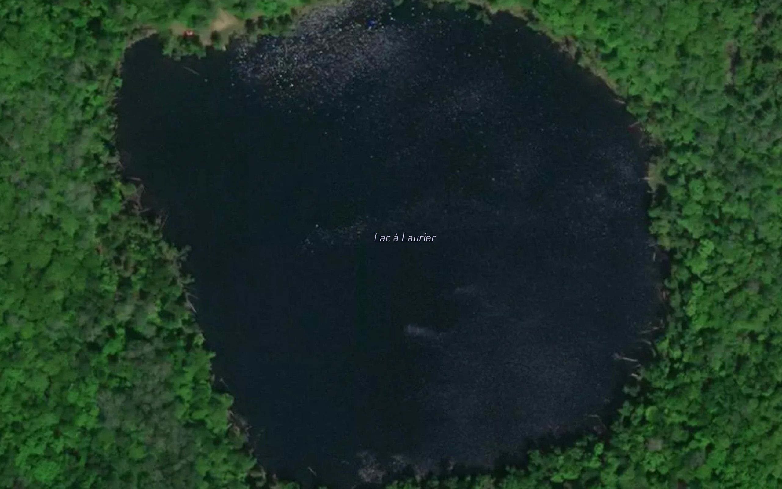 Lac a Laurier