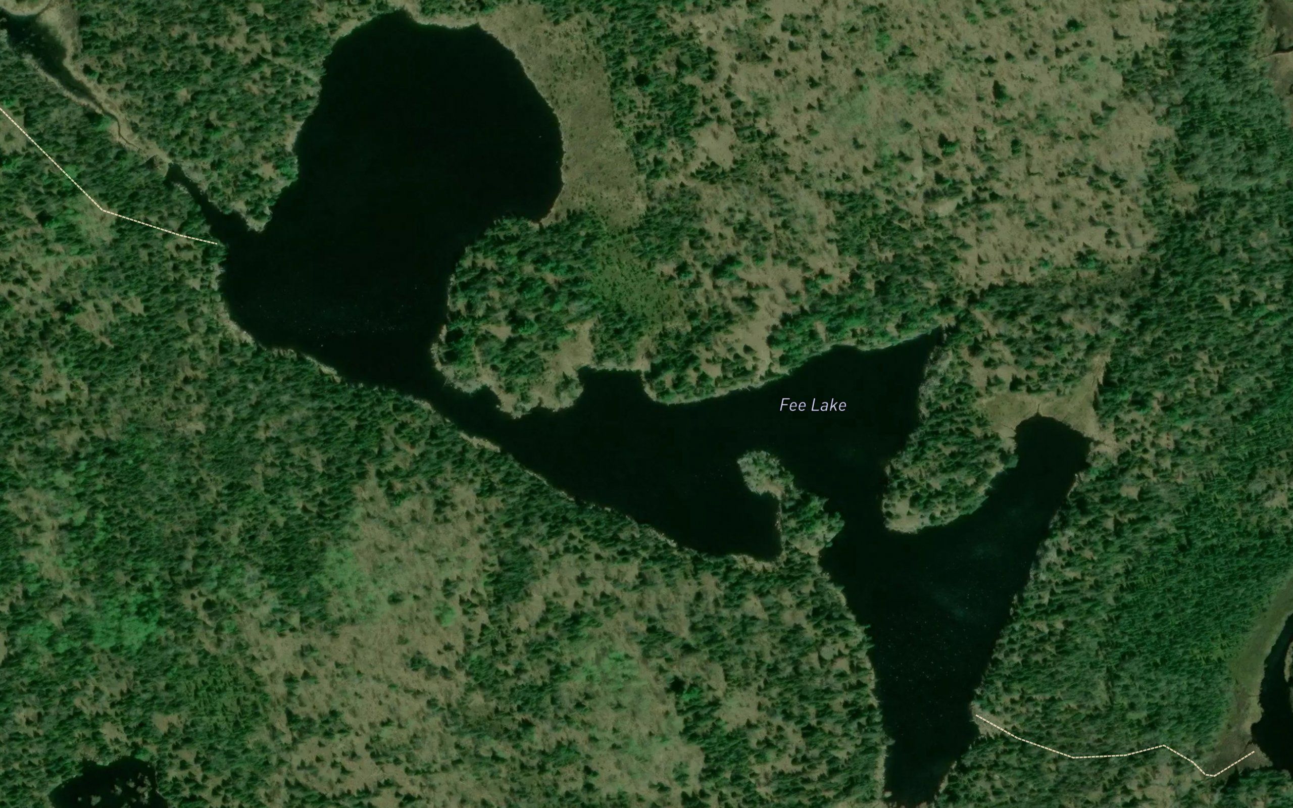 Fee Lake