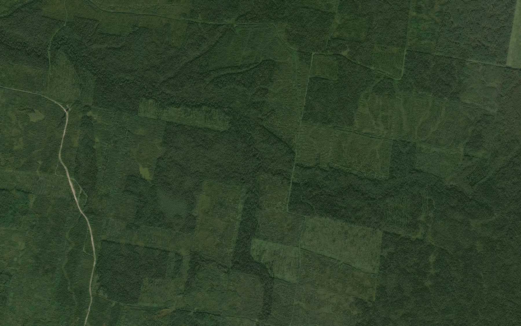 Satellite map of the Blizhniy Chebak