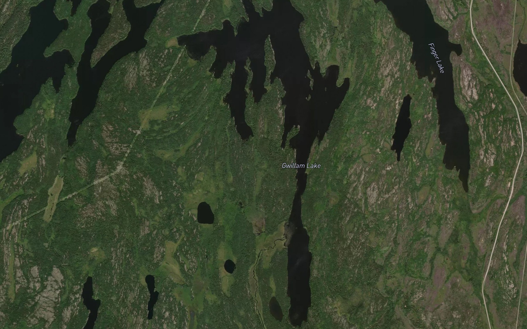 Satellite map of the Gwillam Lake