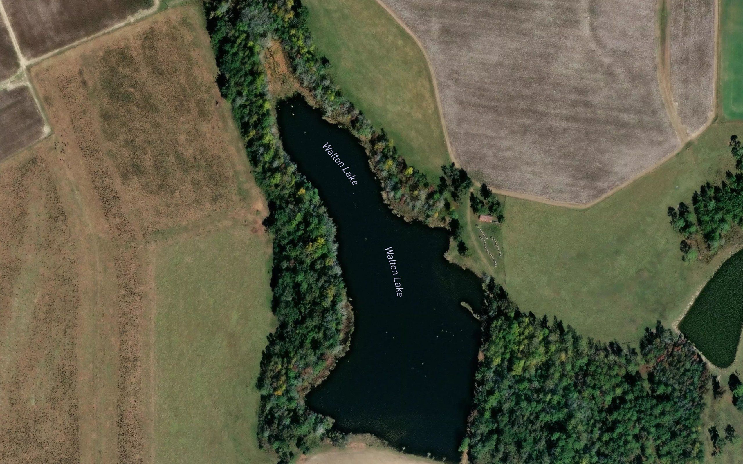 Walton Lake
