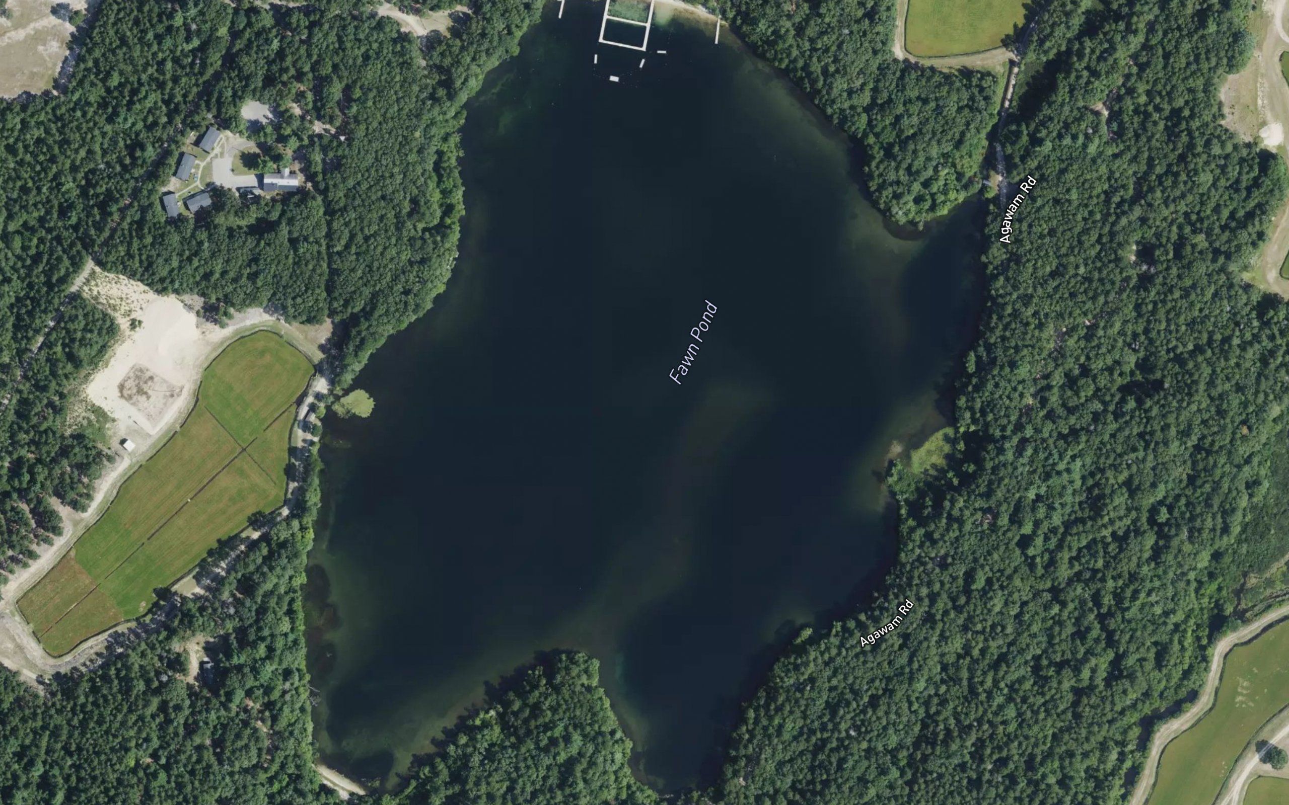 Fawn Pond