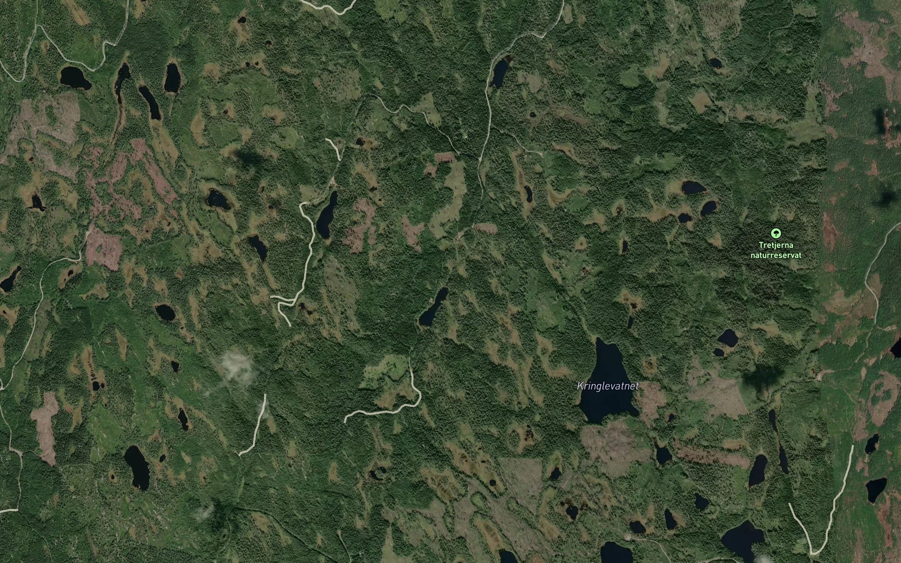 Satellite map of the Lauvlivassbekken