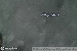 Finjasjon