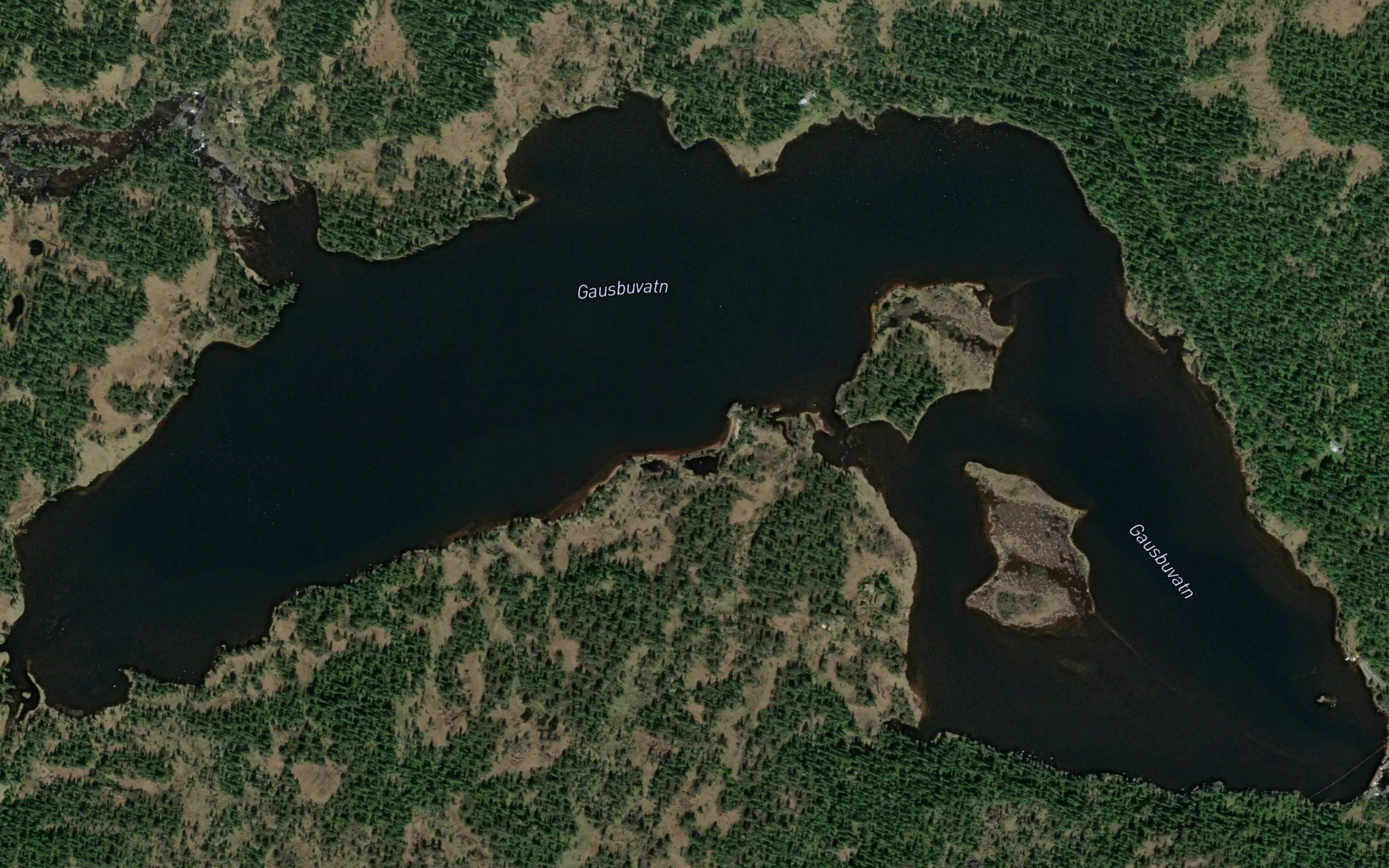 Gausbuvatn