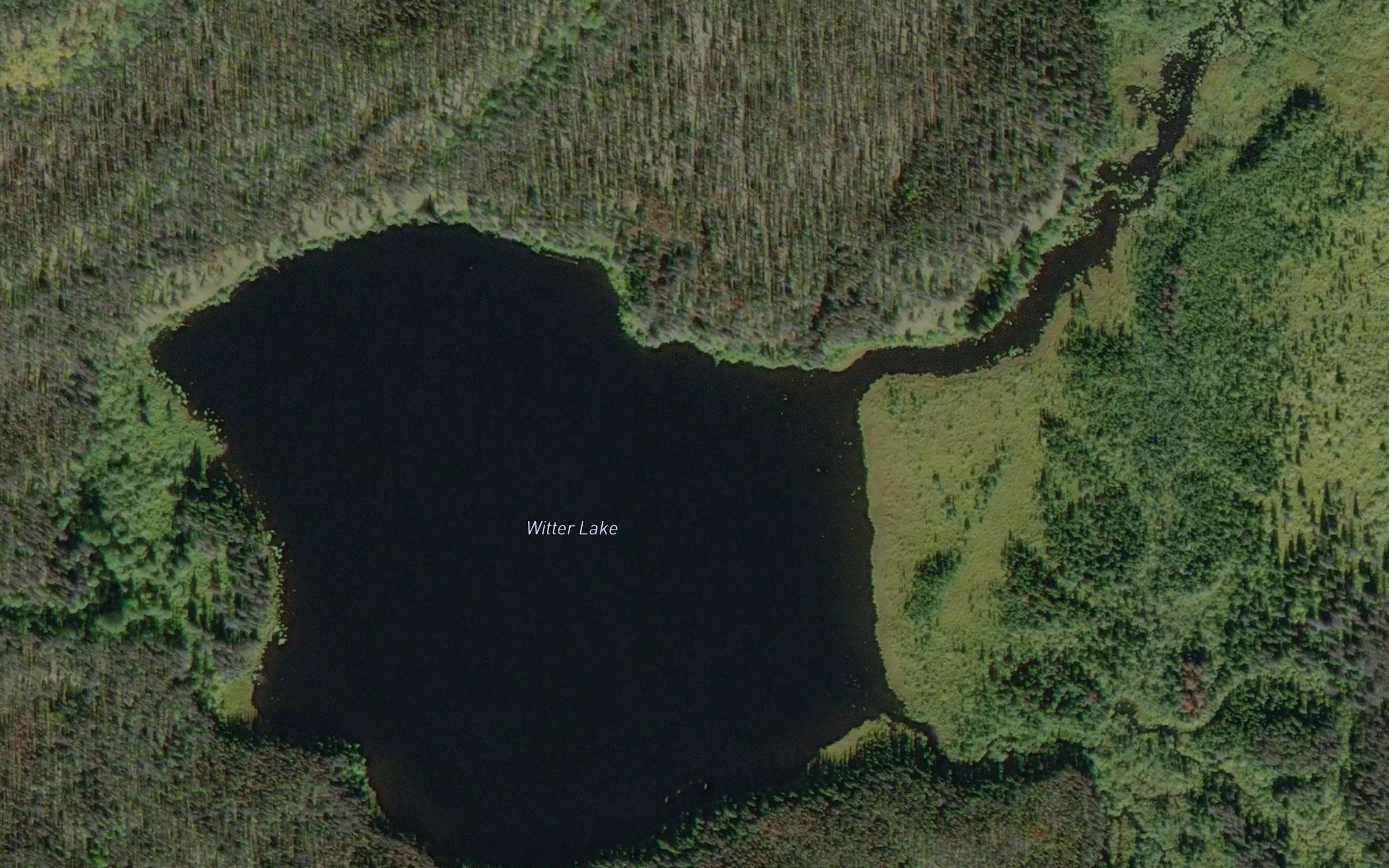 Witter Lake