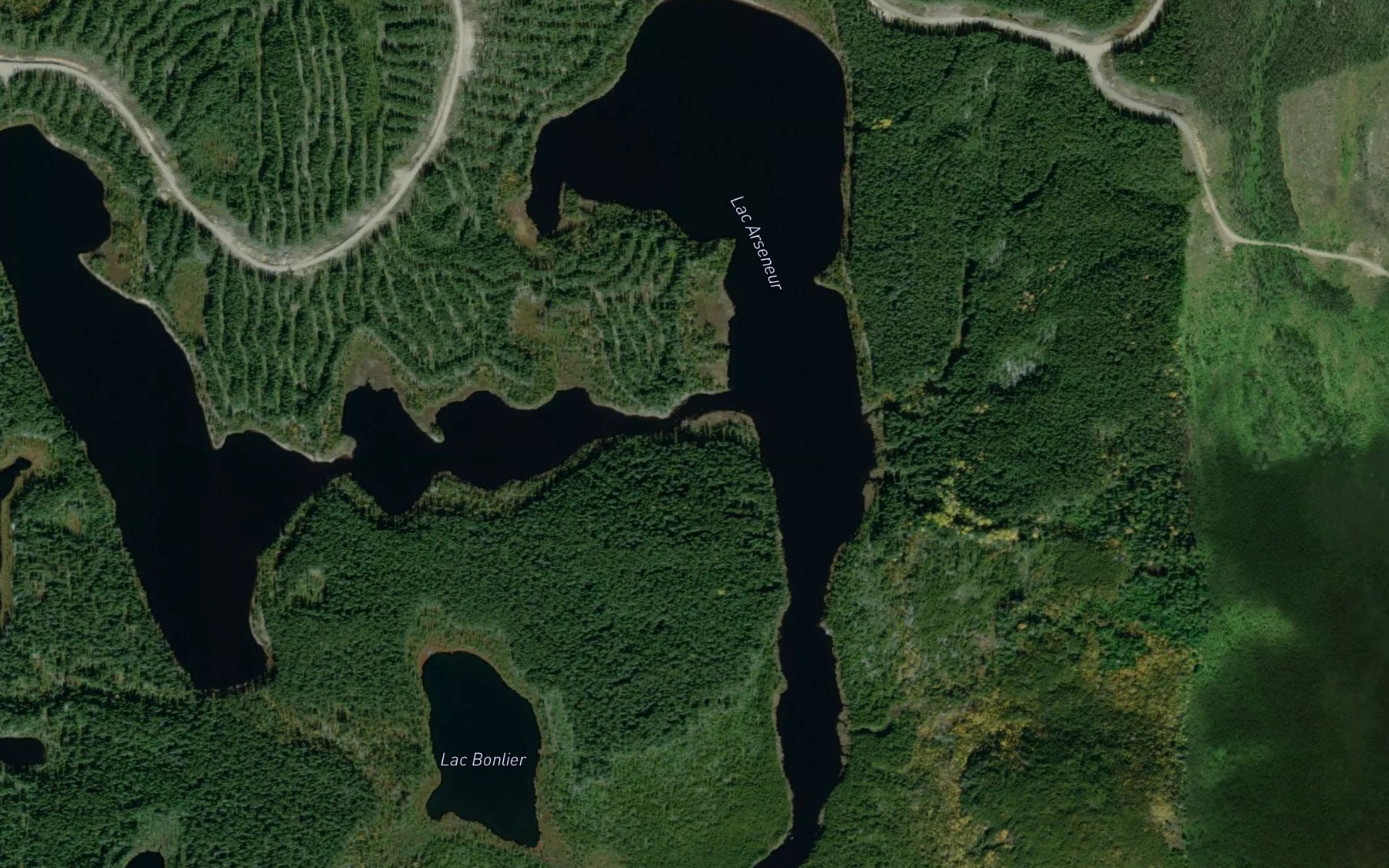 Satellite map of the Lac Arseneur