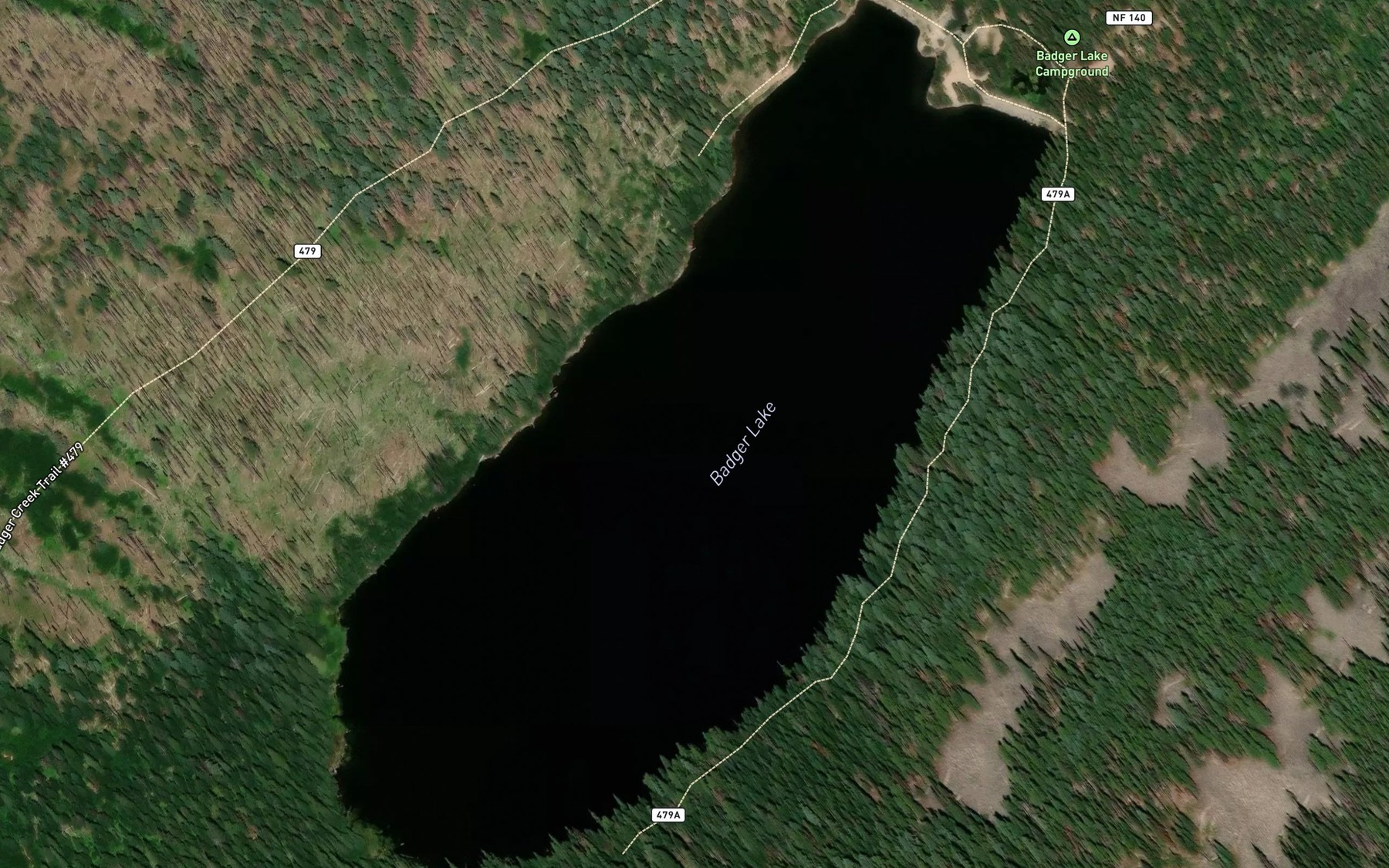 Satellite map of the Badger Lake