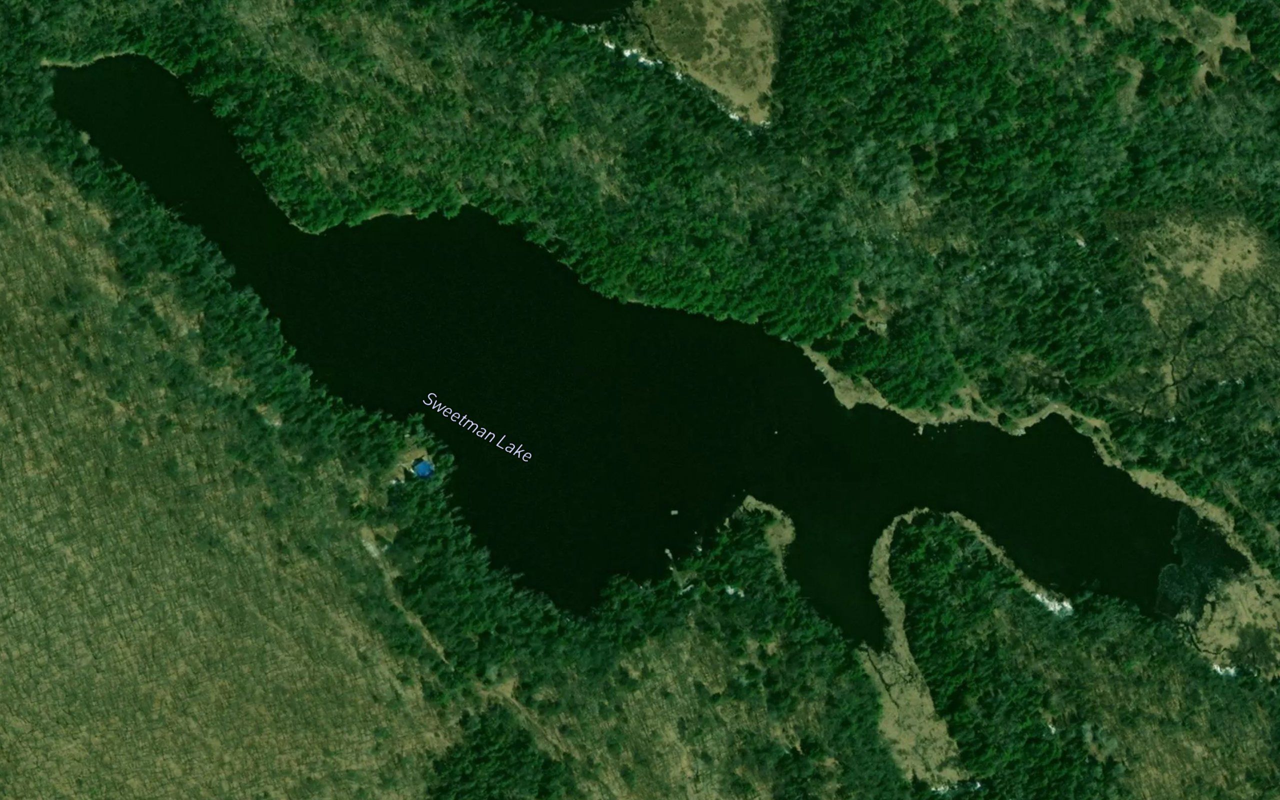 Sweetman Lake