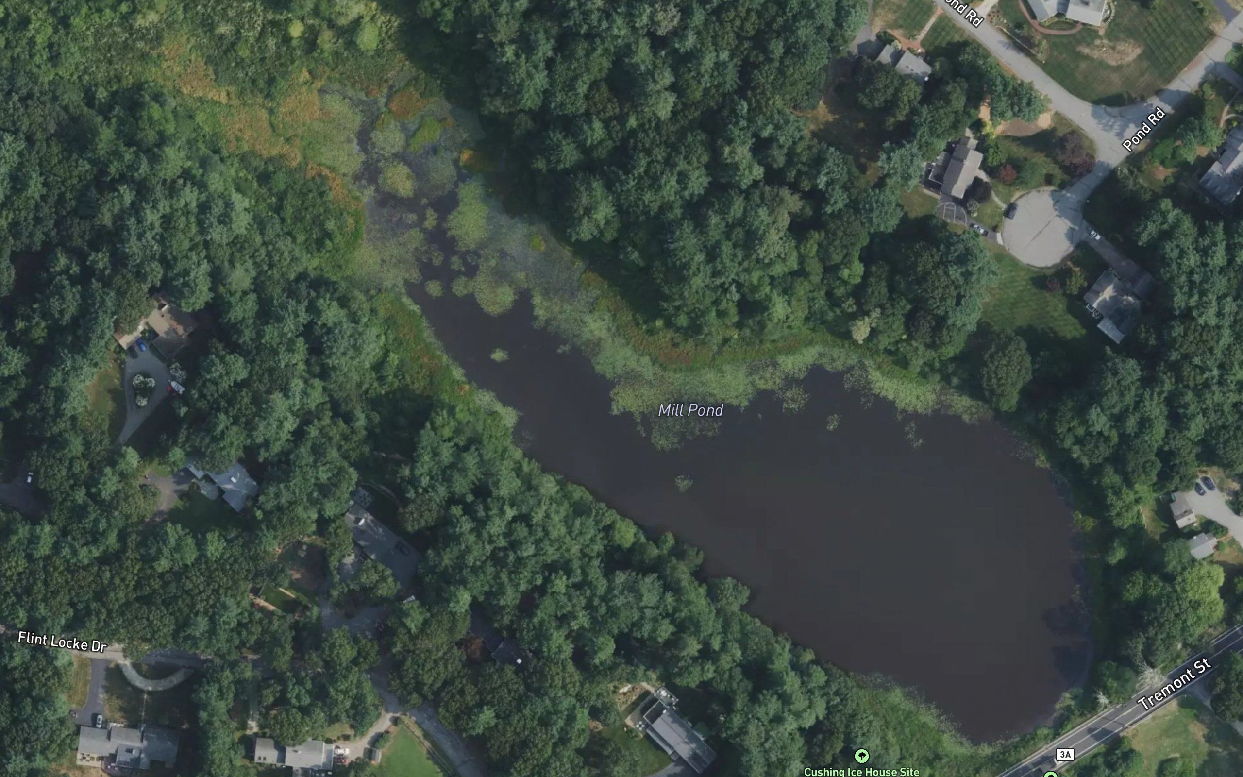 Mill Pond