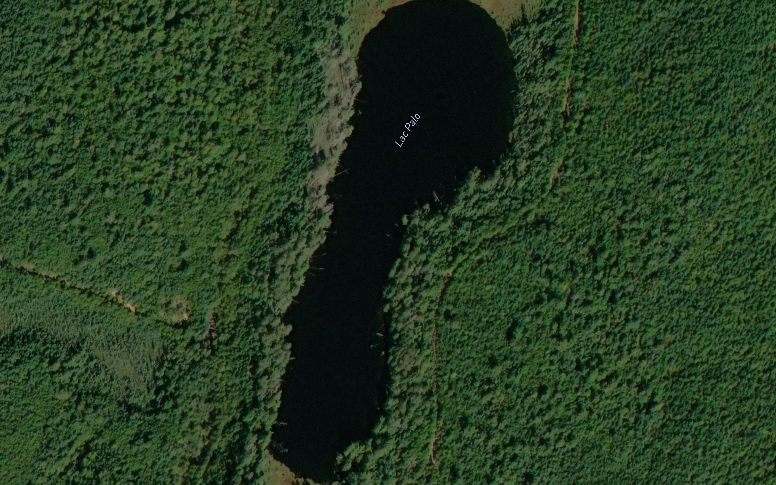 Lac Palo