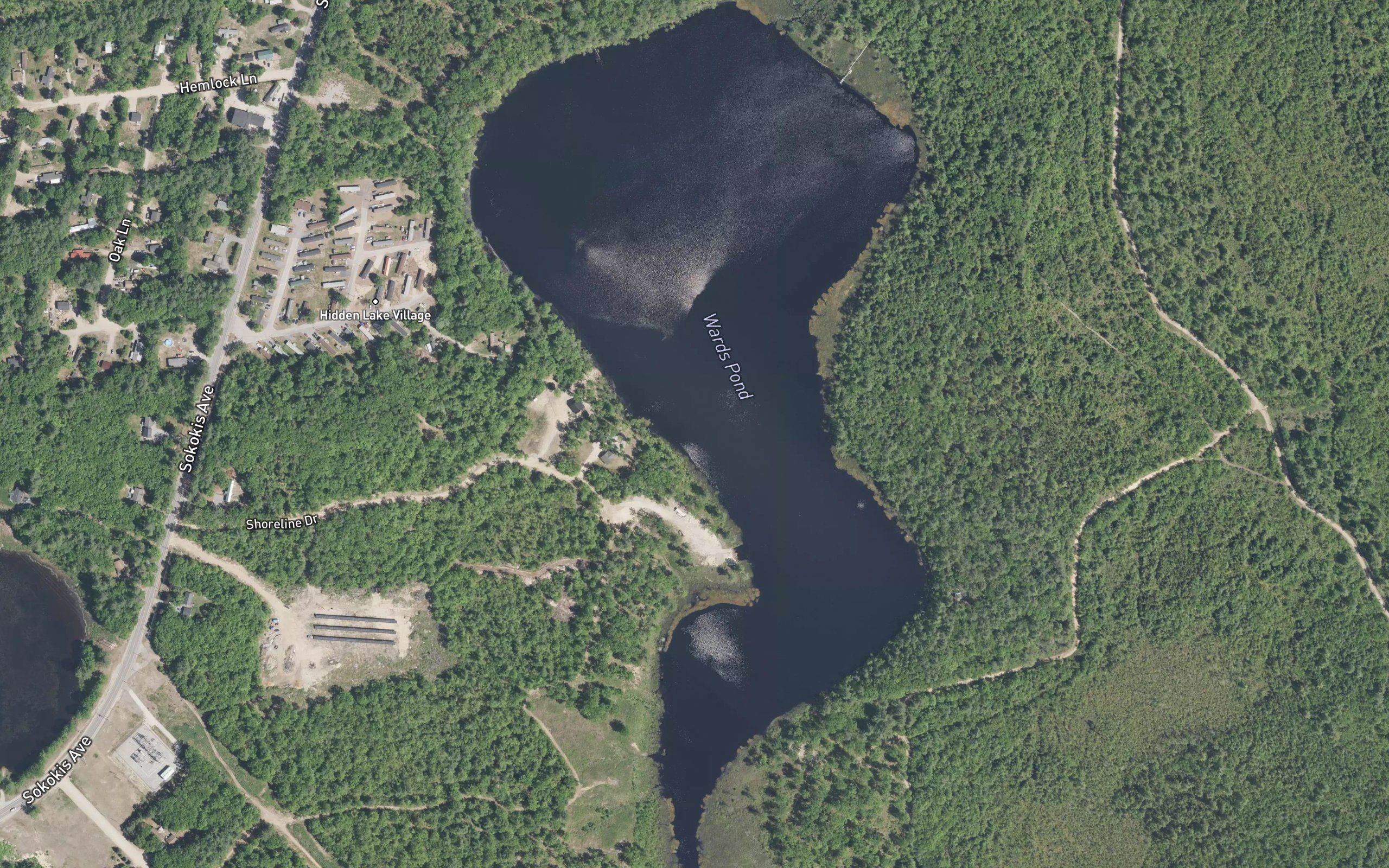 Wards Pond