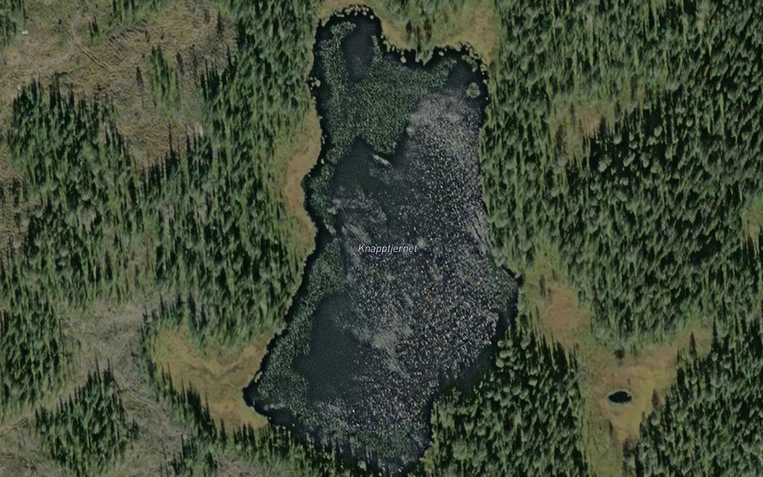 Knapptjernet