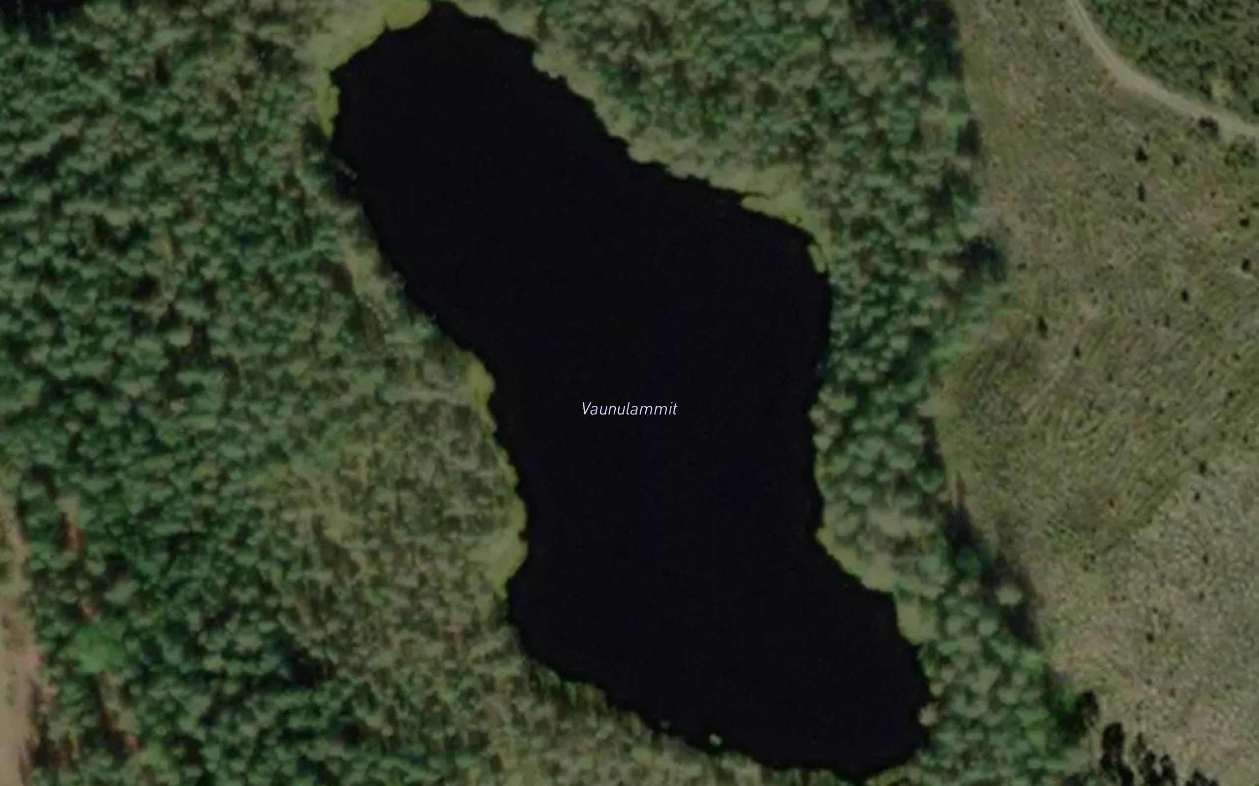 Vaunulammit