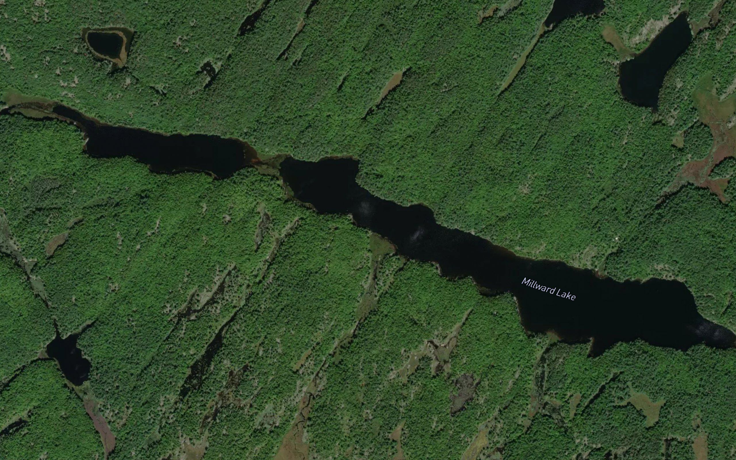Millward Lake