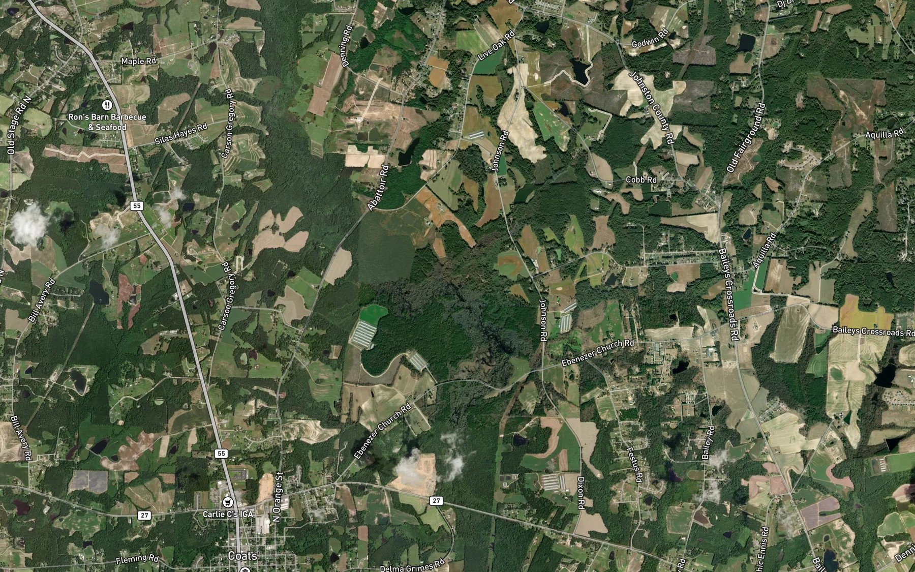 Satellite map of the Big Branch