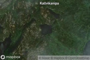Sjuskardtjorni