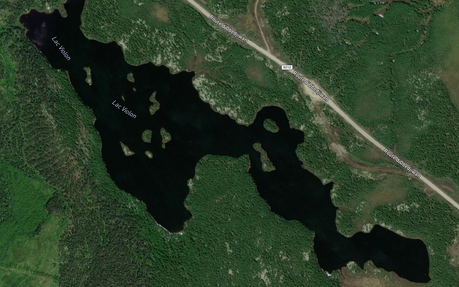 Satellite map of the Lac Violon