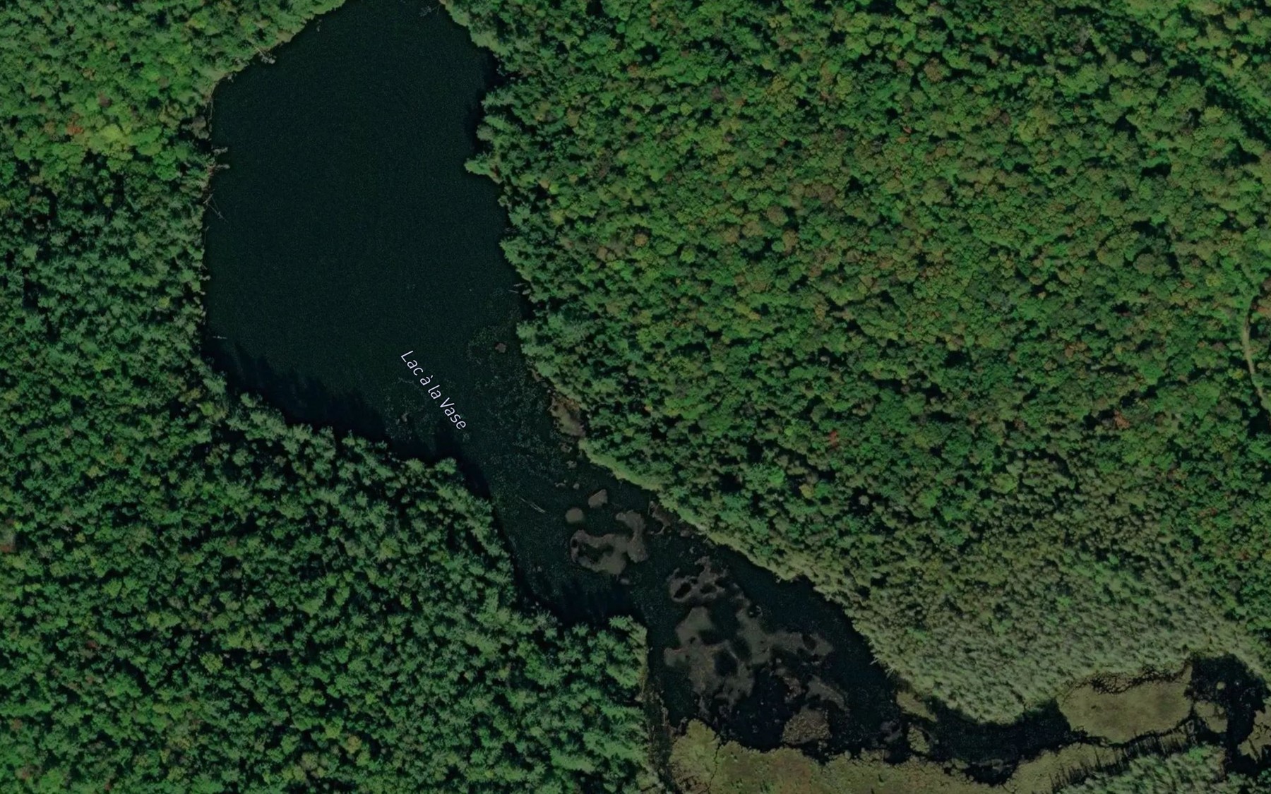 Satellite map of the Lac a la Vase