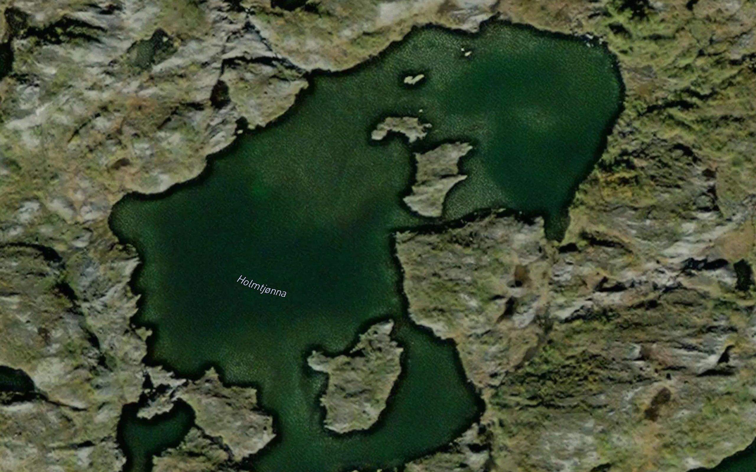 Holmtjorna