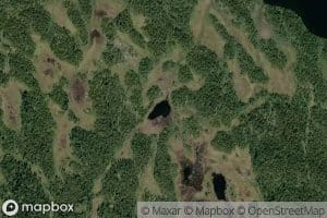 Ukstjernet