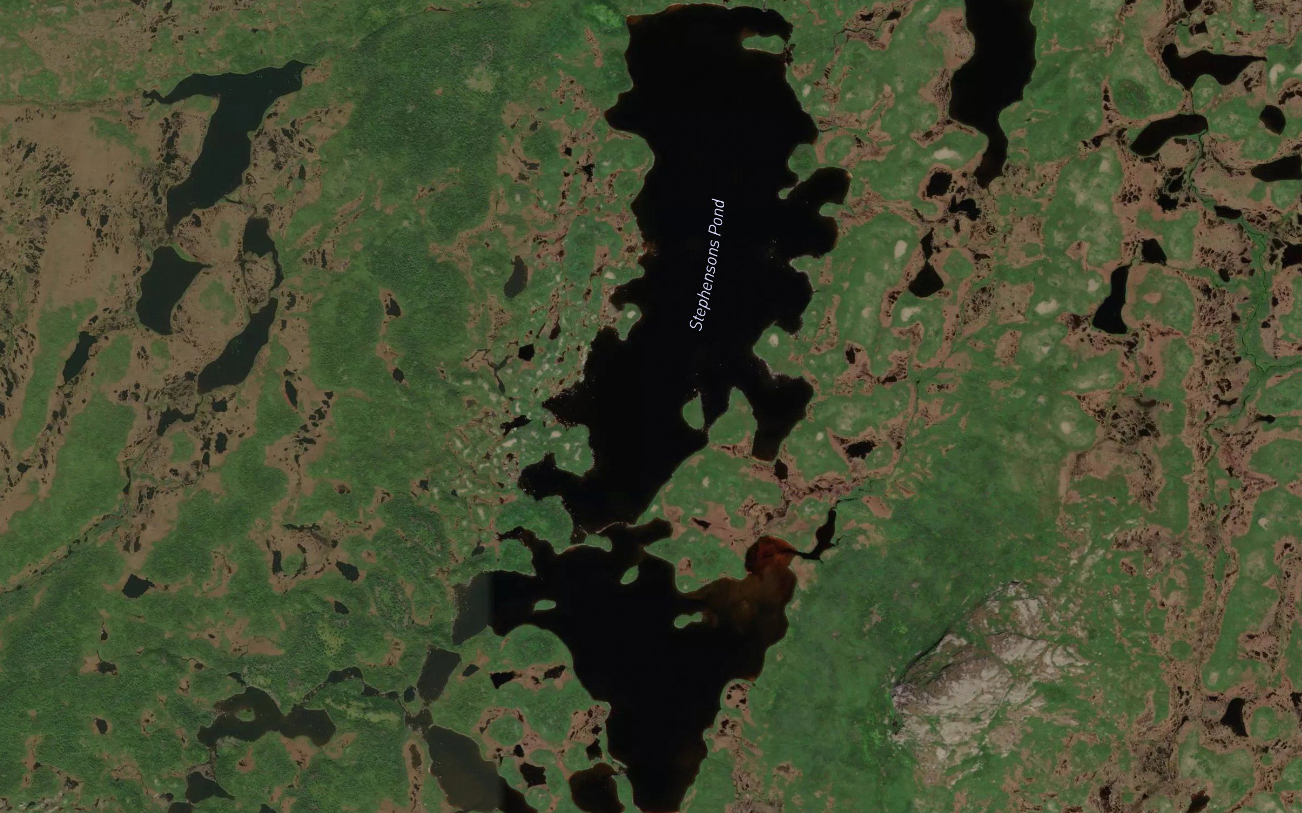 Stephensons Pond