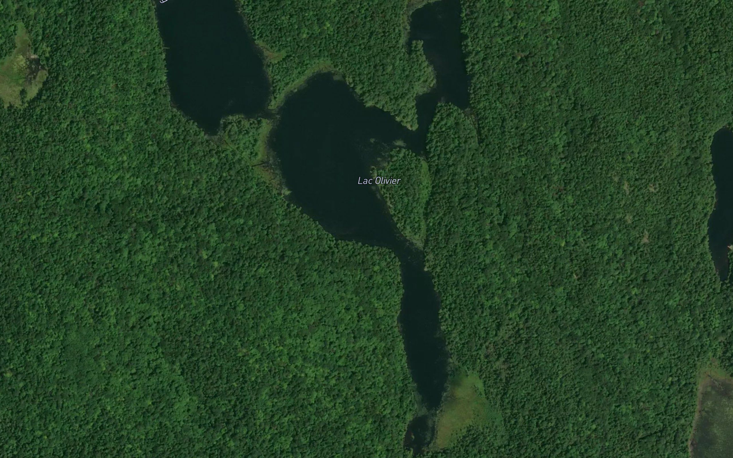 Lac Olivier