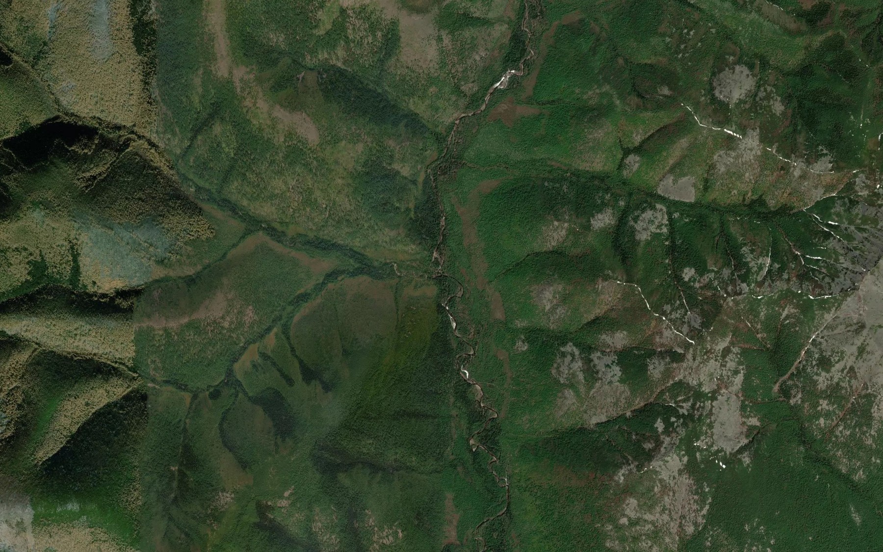 Satellite map of the Vetvistyy