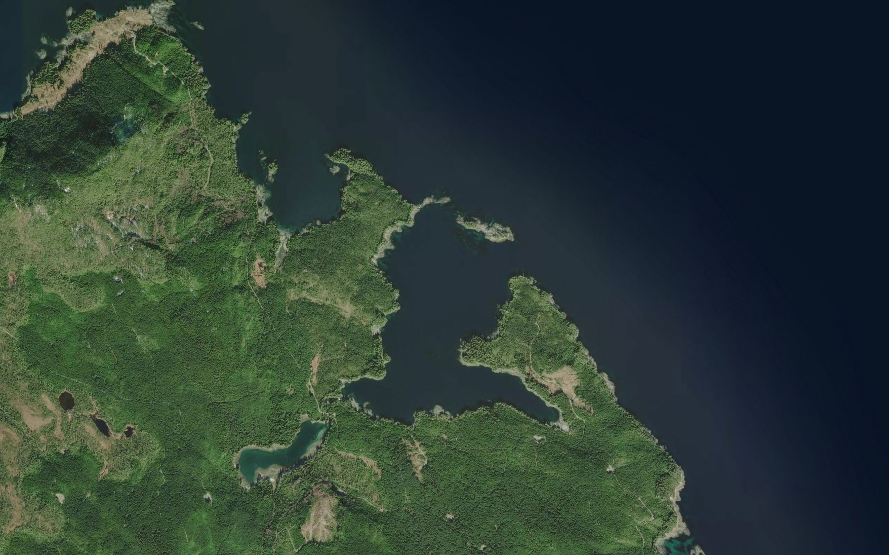 Satellite map of the Elbow Bay