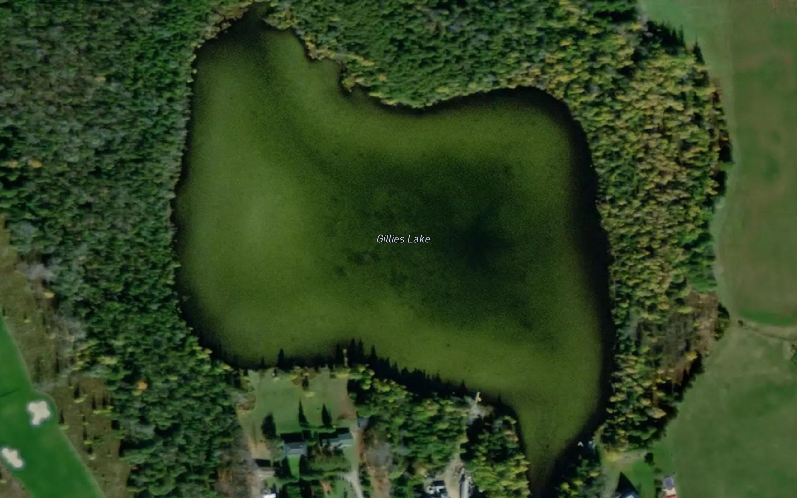 Gillies Lake