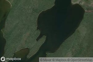 Carol Lake