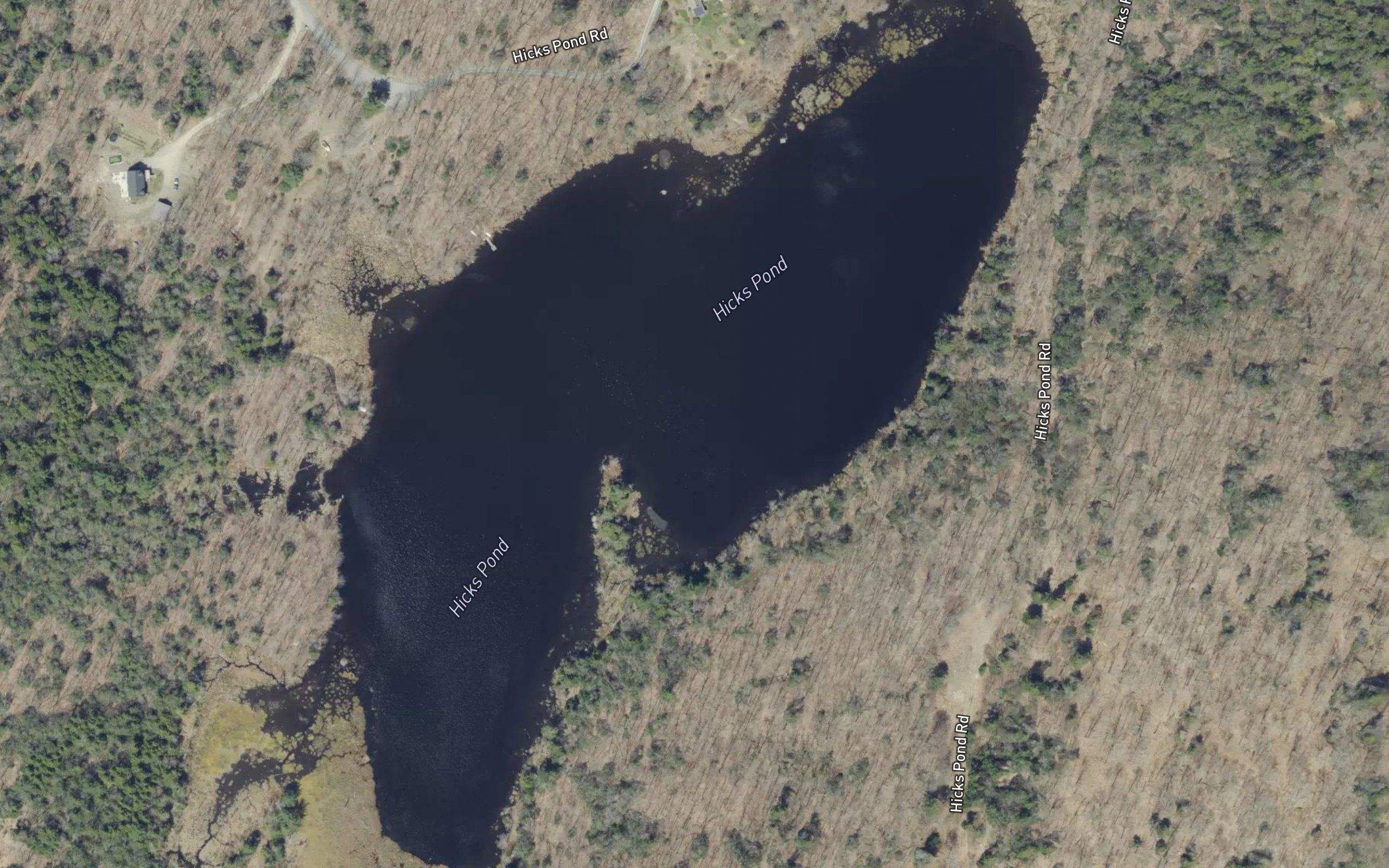 Hicks Pond