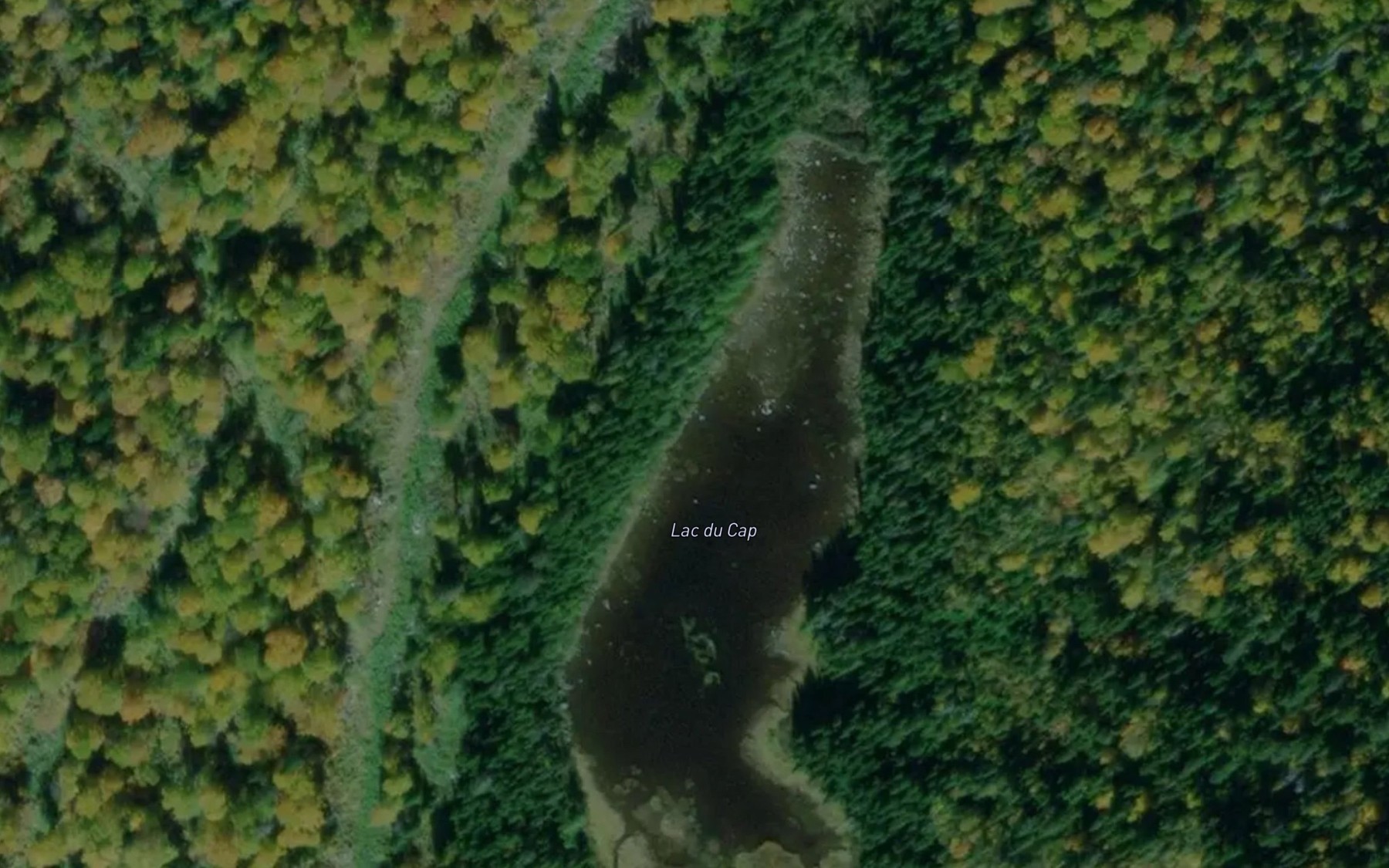 Satellite map of the Lac du Cap