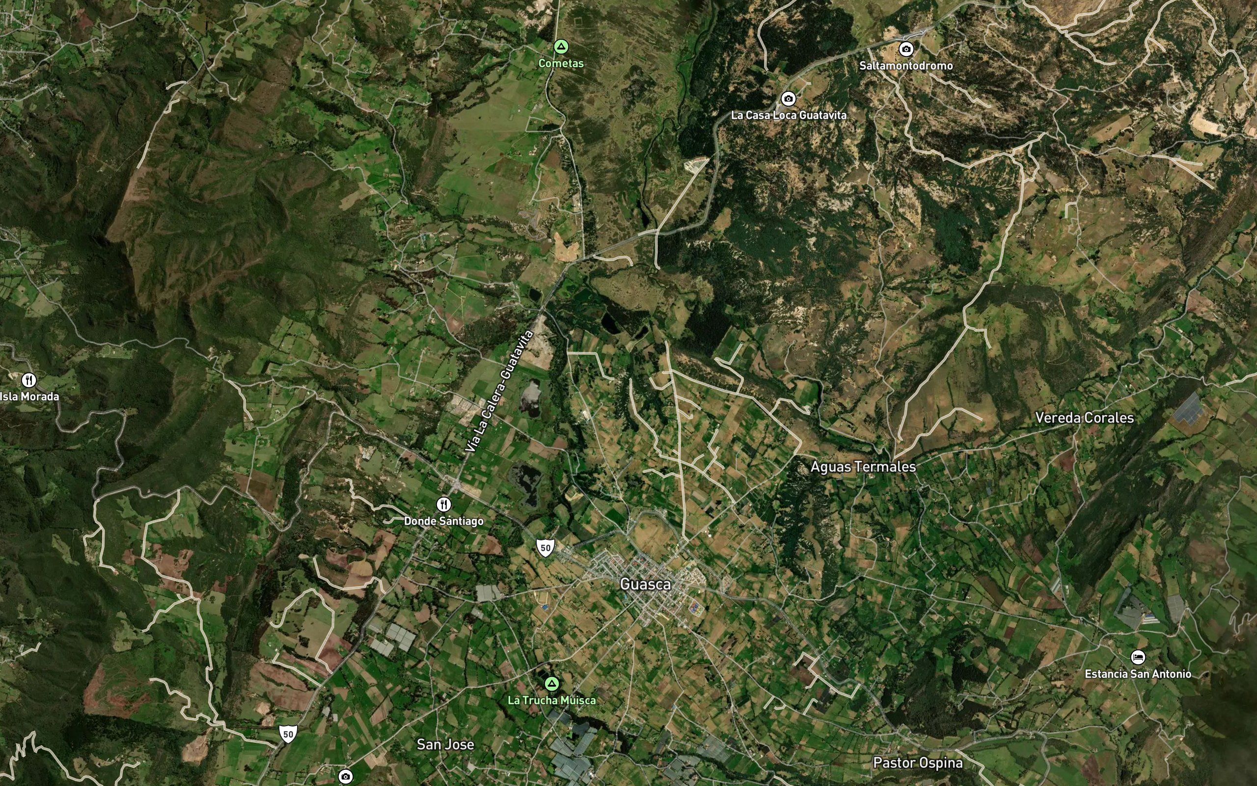 Quebrada El Aliso