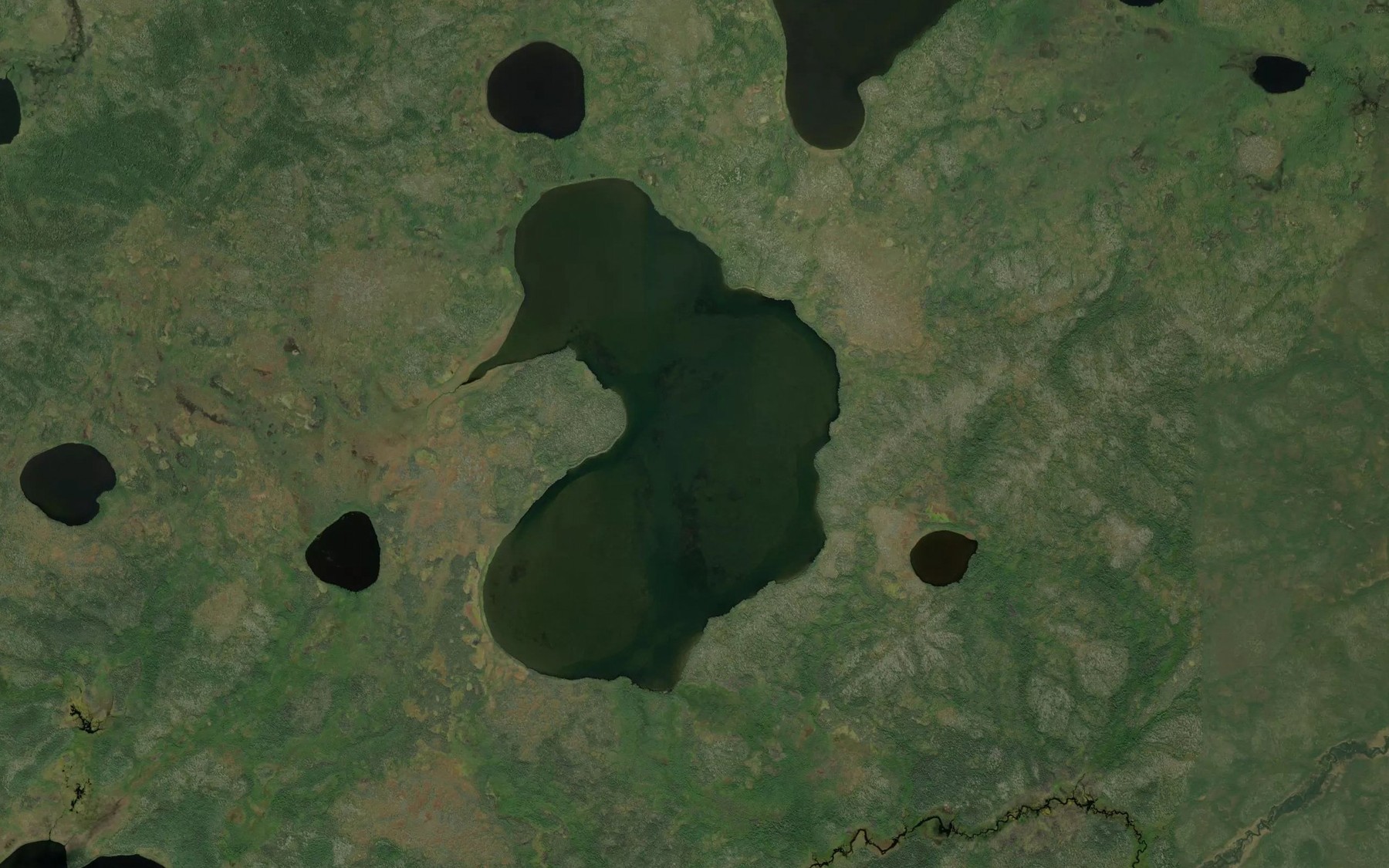 Satellite map of the McIvor Lake