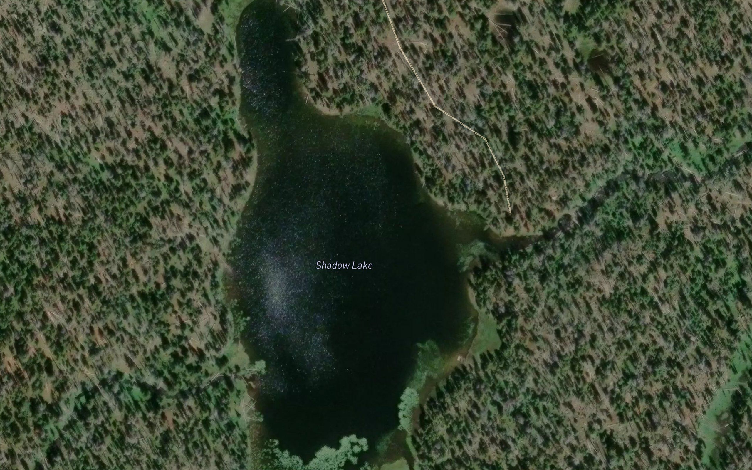 Shadow Lake