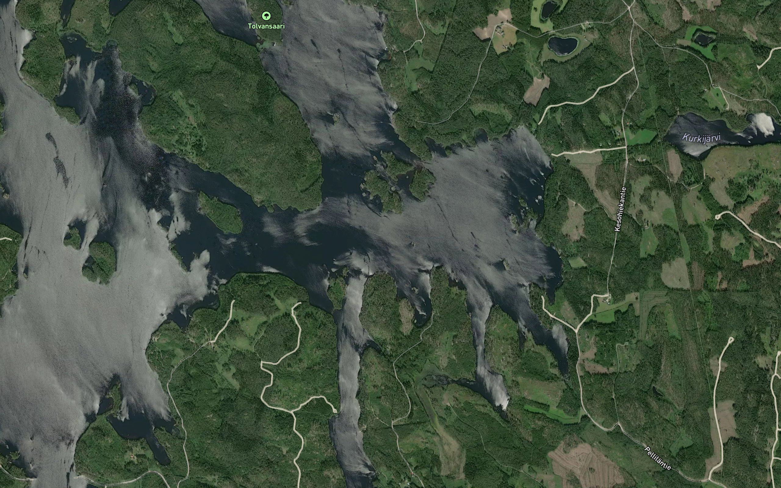 Kesohiekanselka