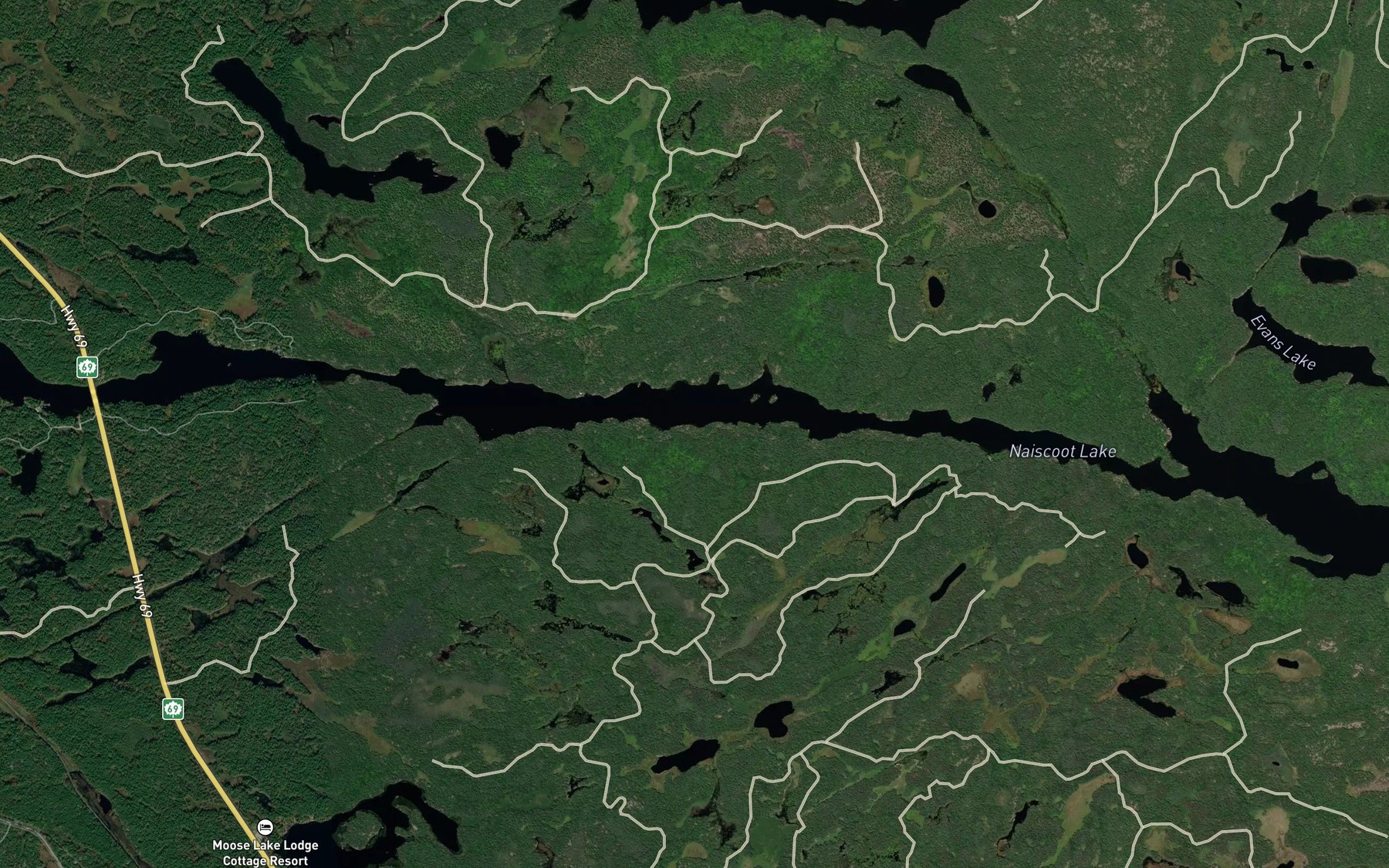 Satellite map of the Naiscoot Lake