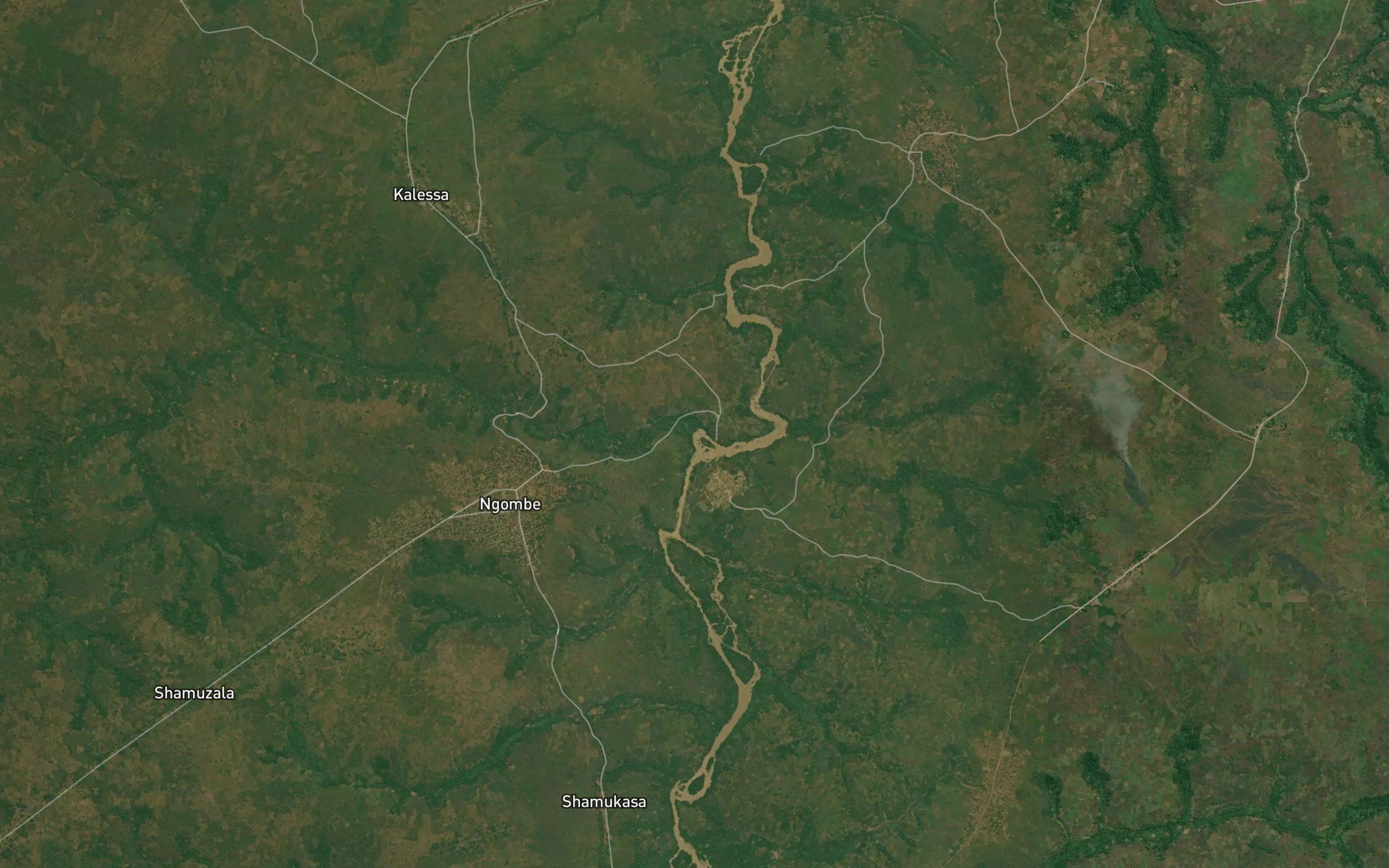 Ngombe