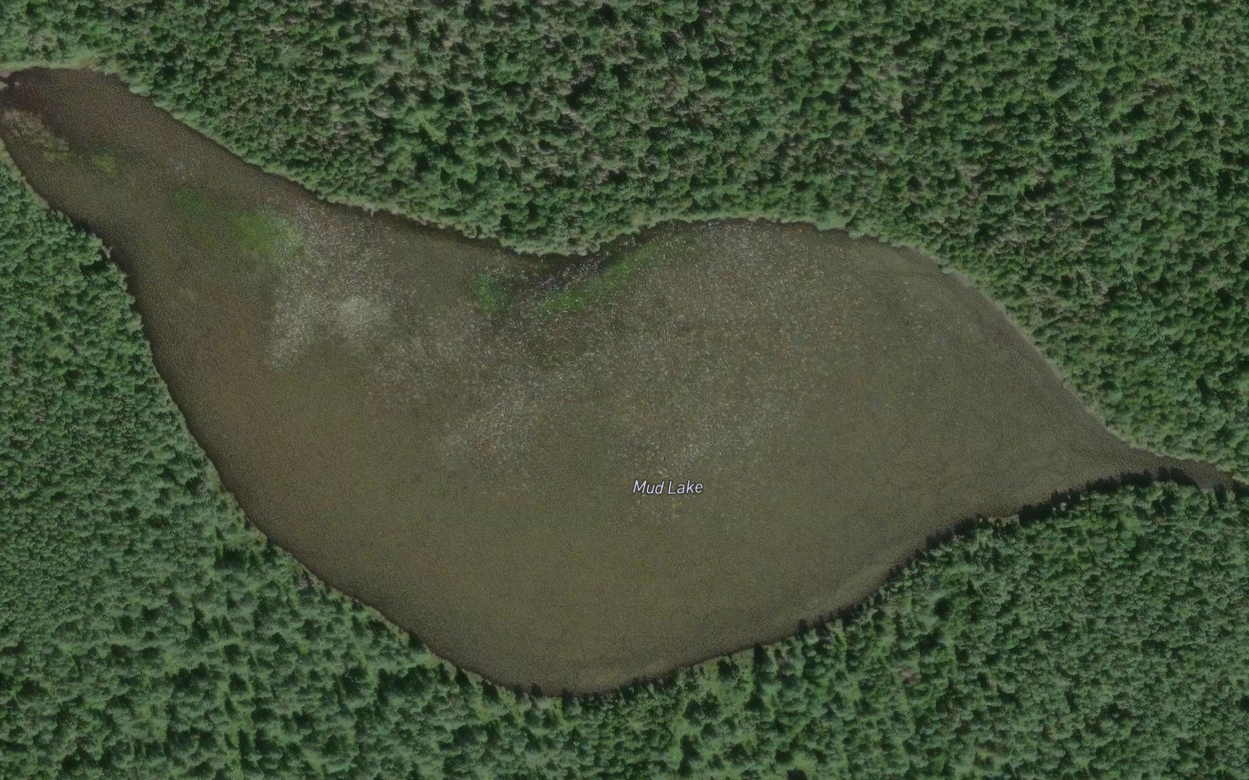Mud Lake
